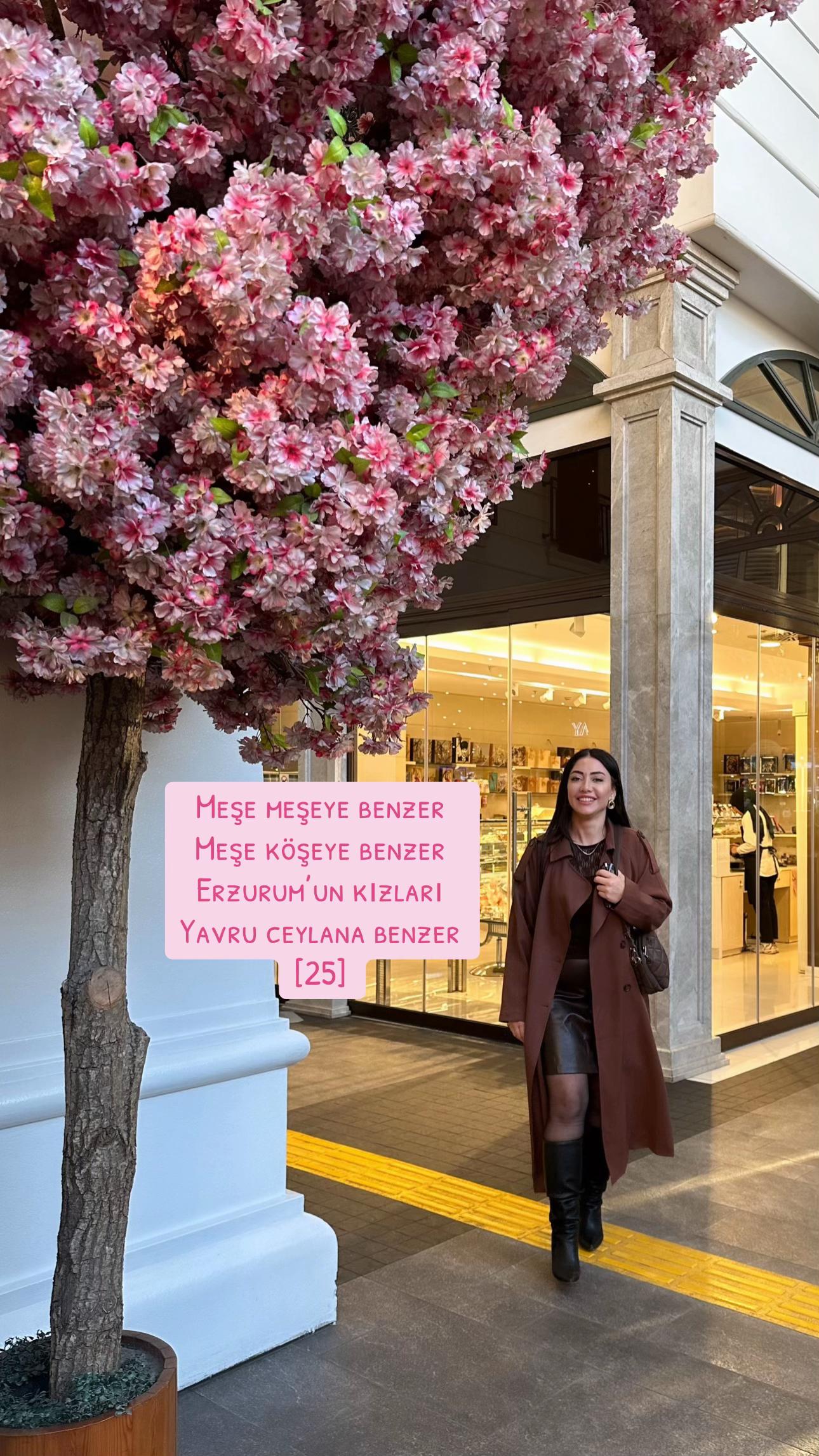 @Şeydanur-dağ