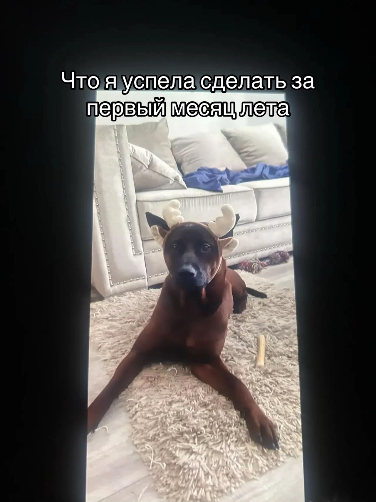 @Соня таран