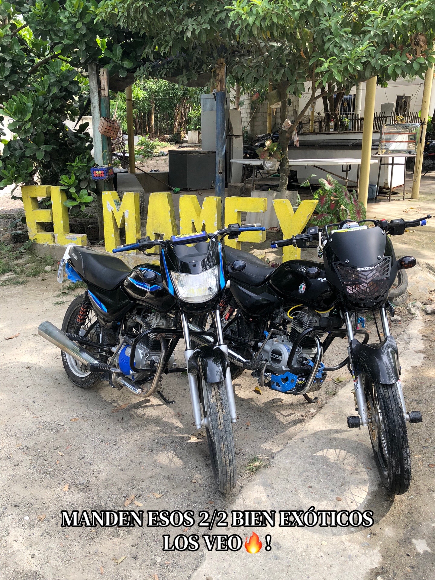 @🥷🏻BIKELIFE🏄🏻♂️