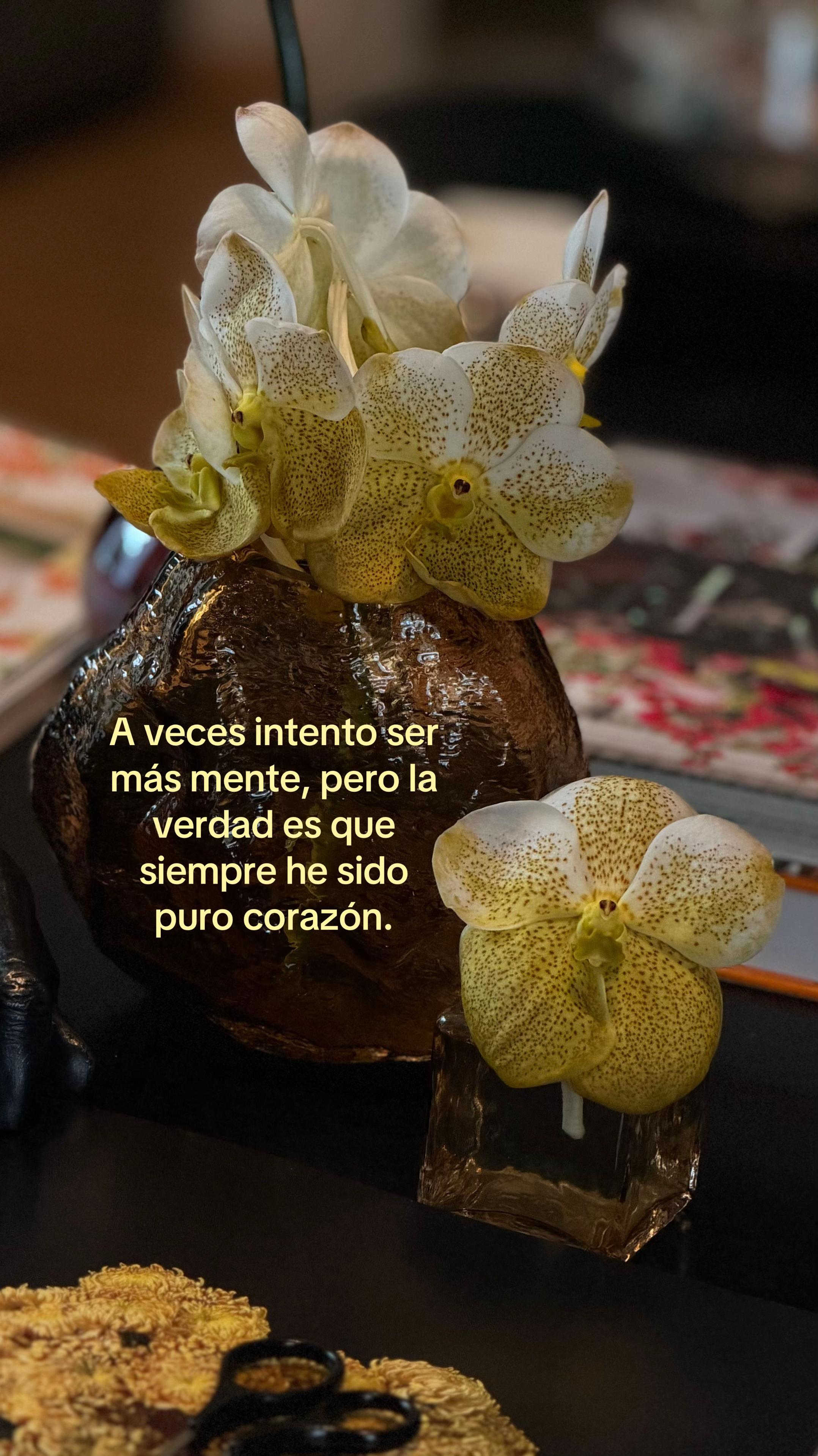 @Fabian Vejar