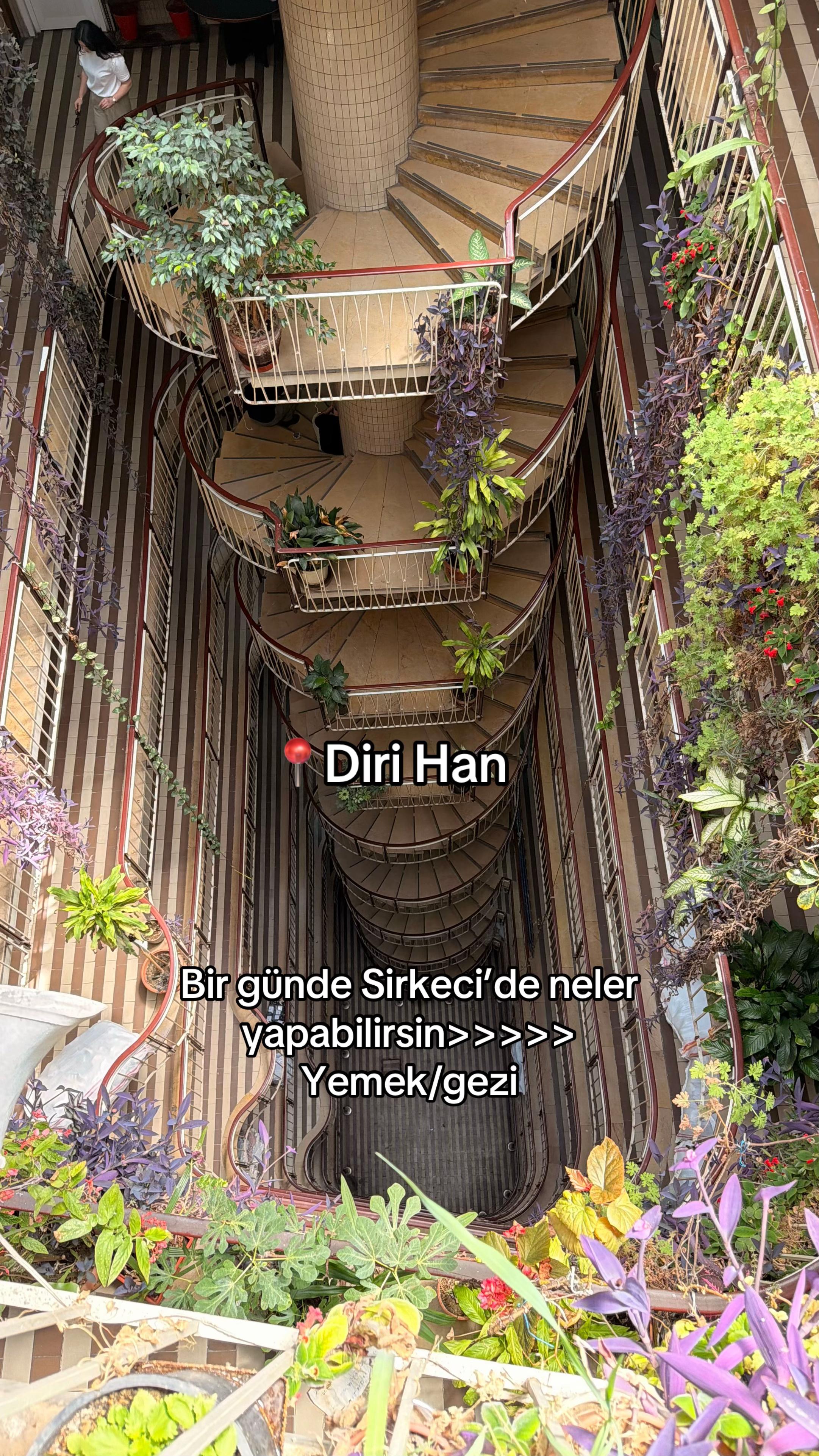 @ozgurdalcik