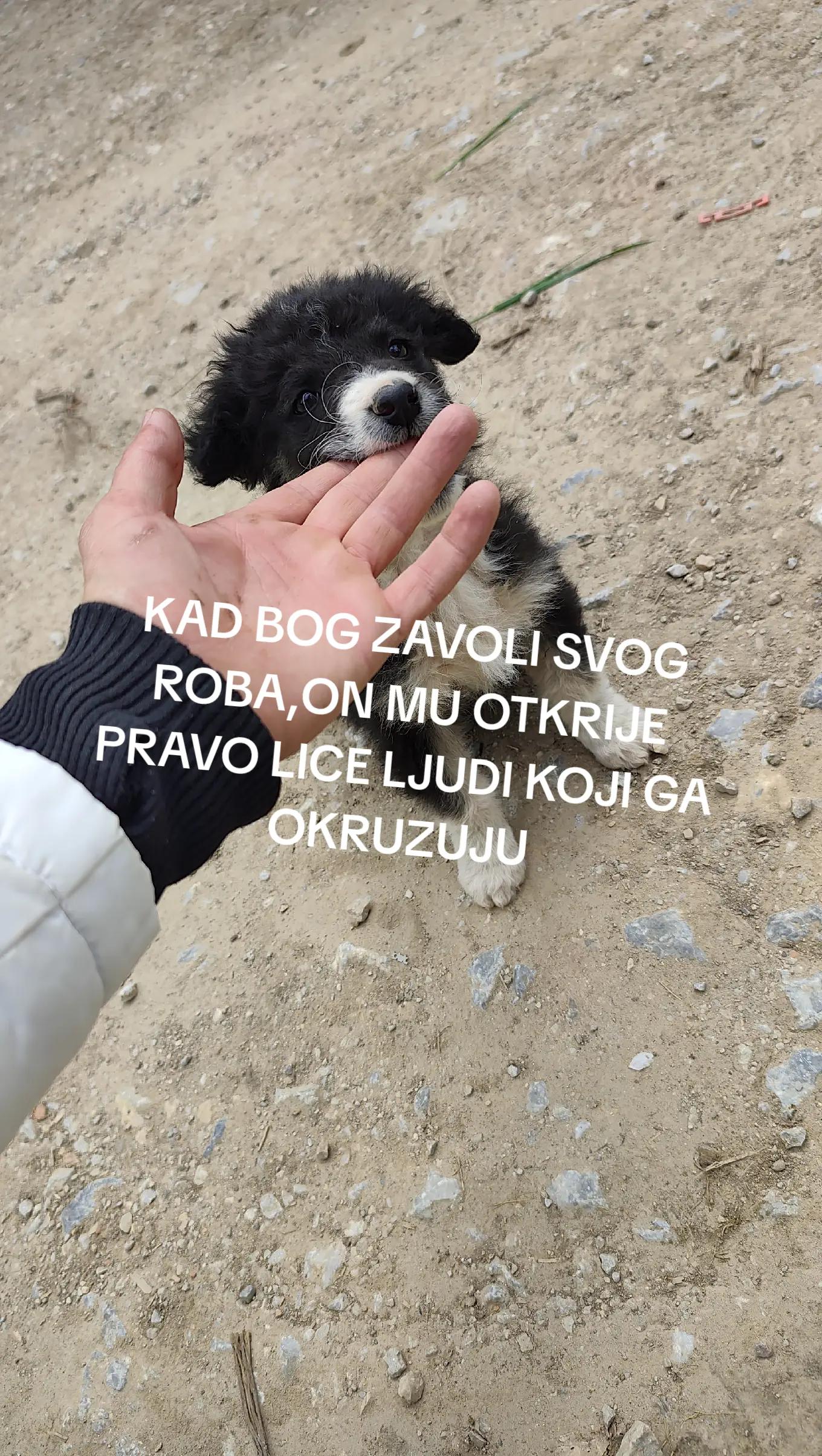 @M_U_V_A_O_N_I_C_A
