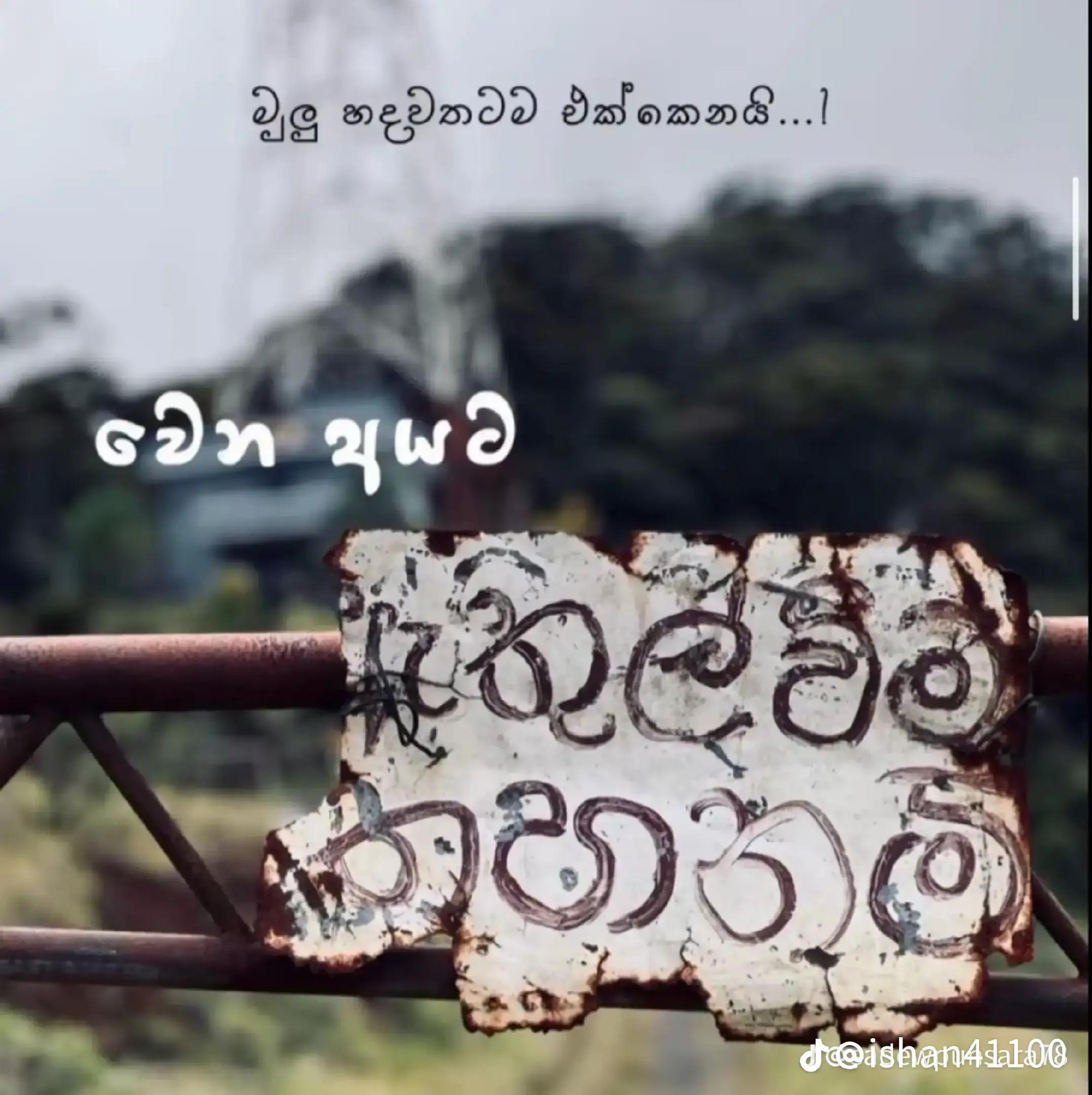@𝗨daya_𝗡elaweera🇱🇰🕊️❤️