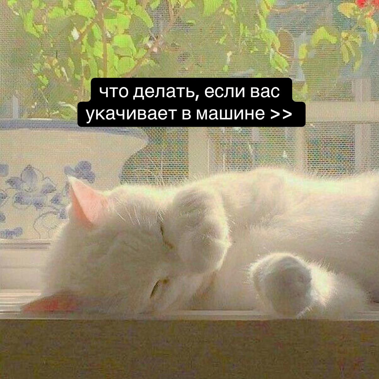 @леся ᴗ̈