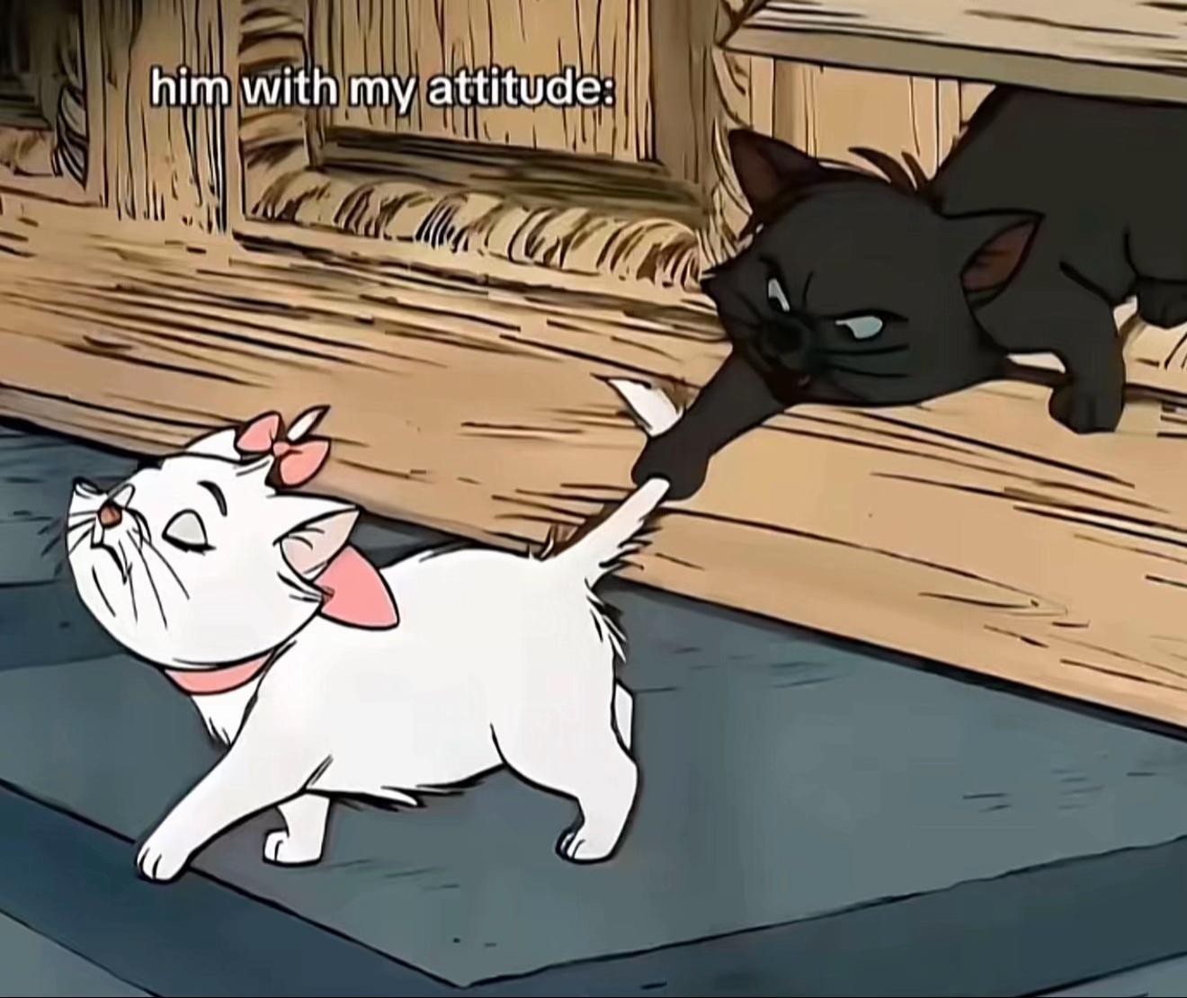 @เฟรชเป็นแม่แมว 😾