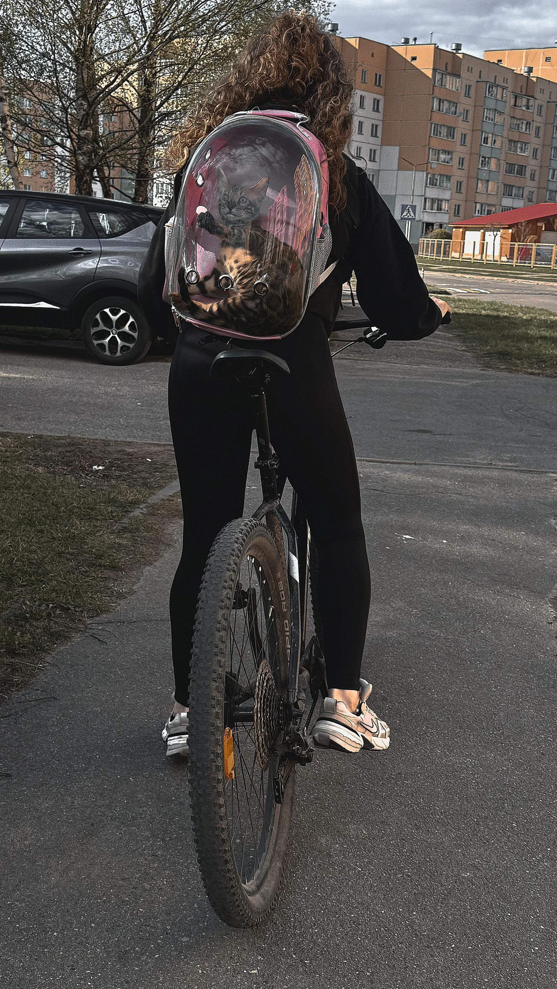 @Лиза
