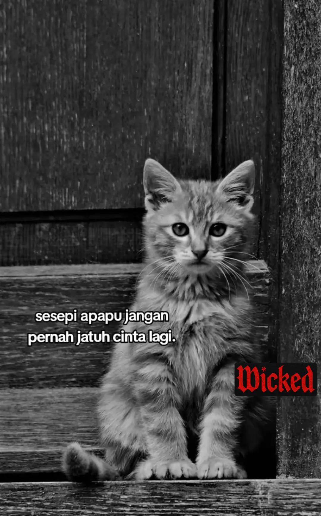 @anakpertama:)🗿