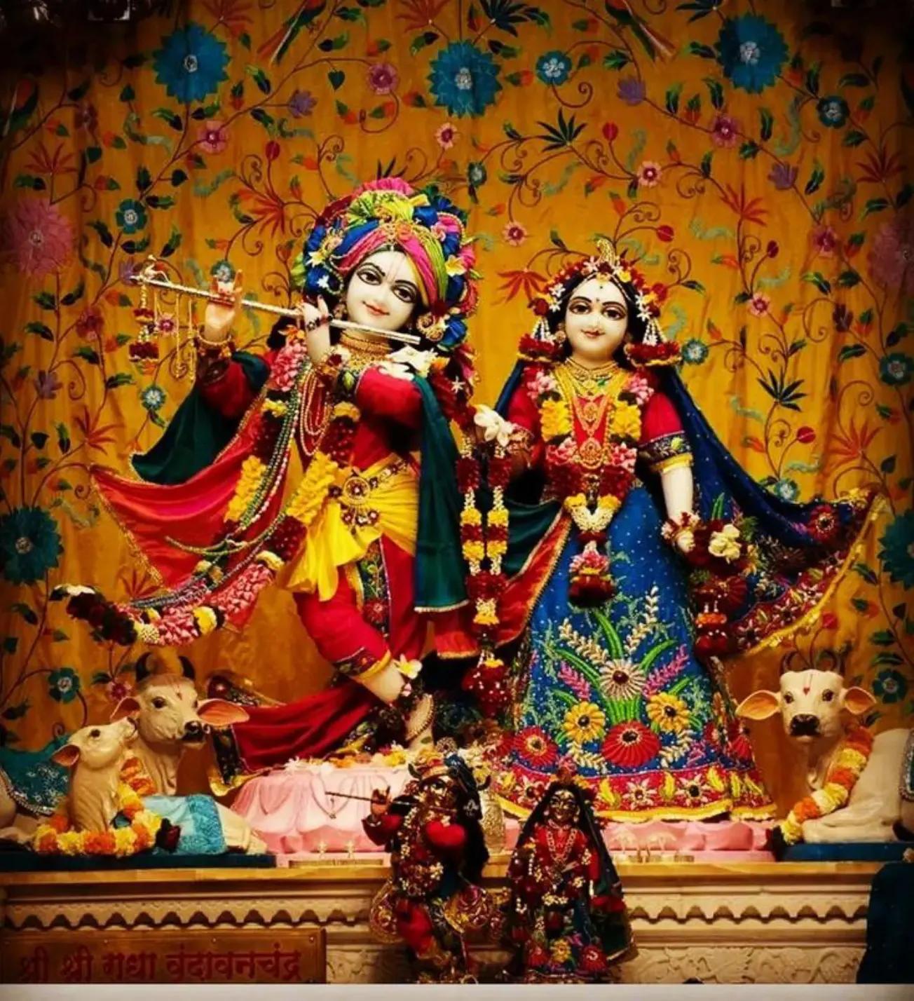 @Radhe Radhe 💐