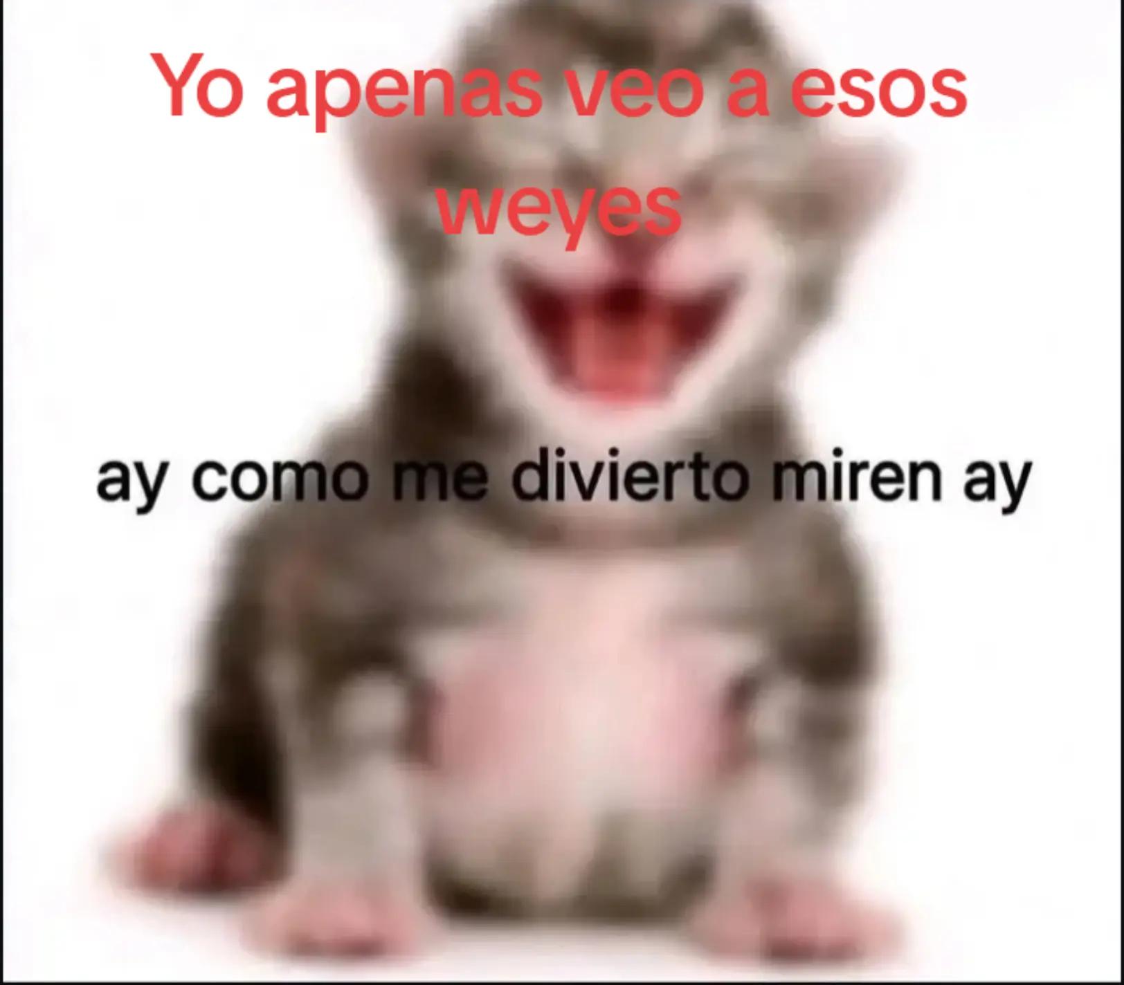 @Mac demarcolover