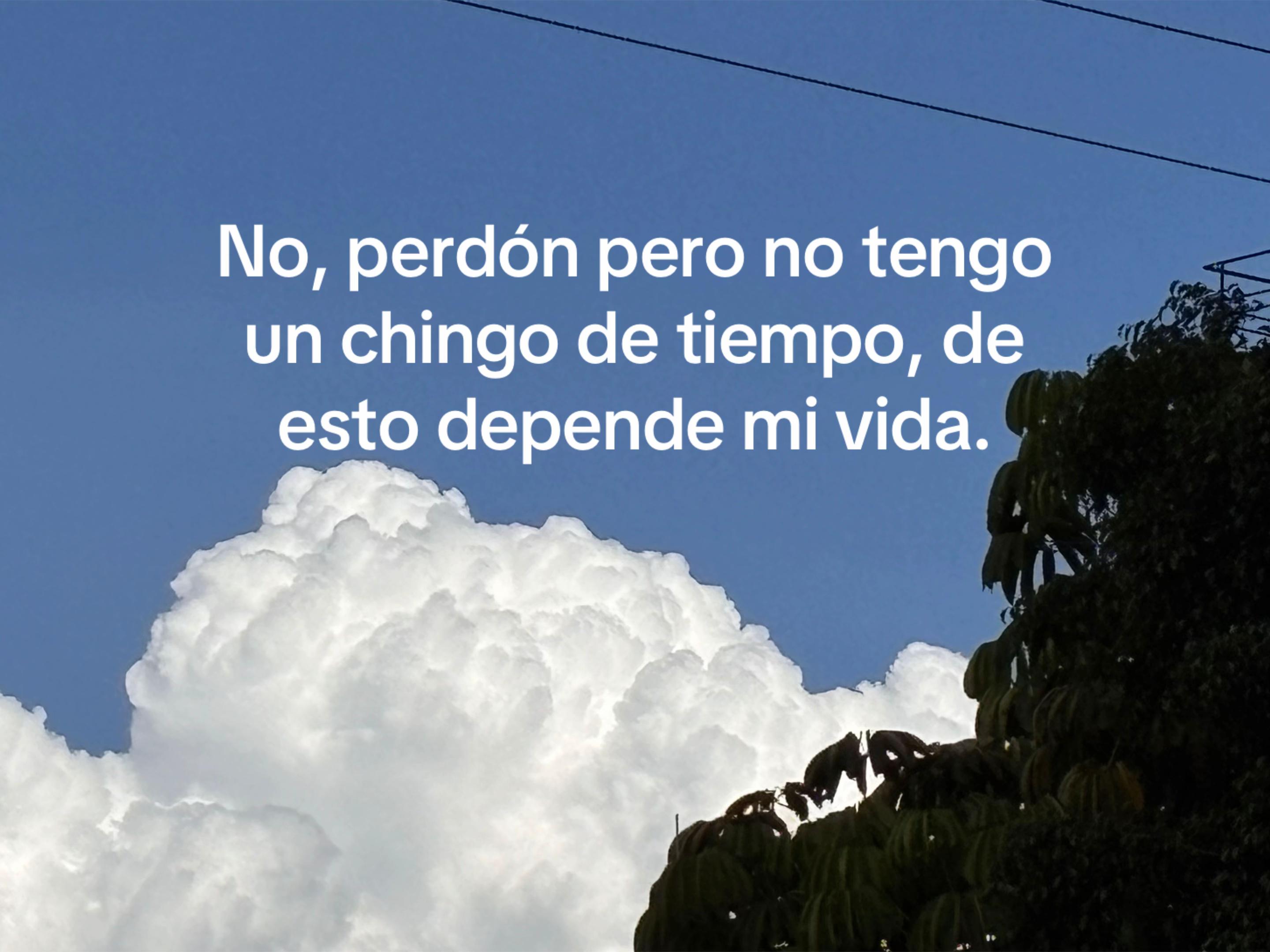 @Vanessa Sosaᴗ̈