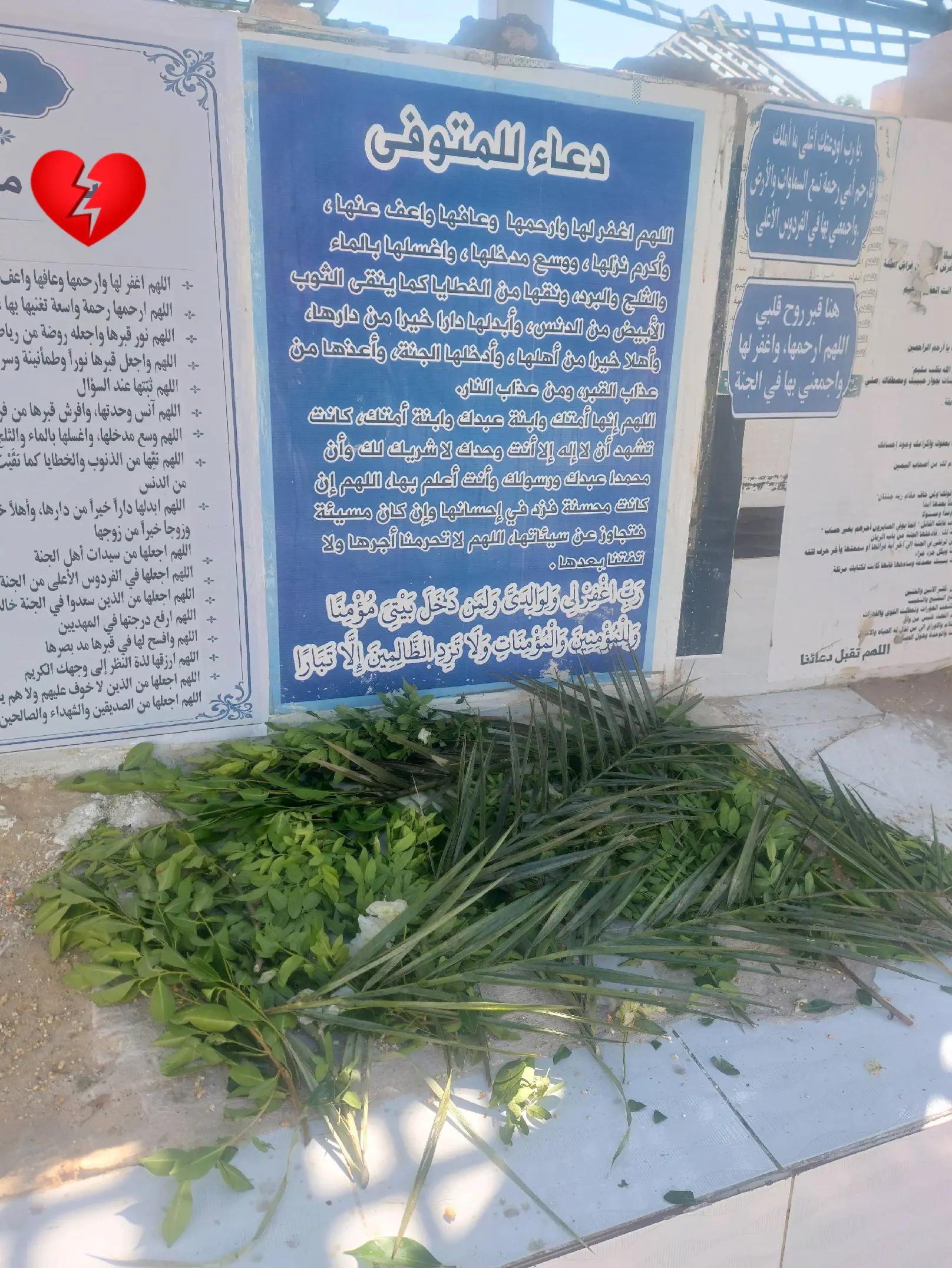 @زياد عبدالله 🐺🦅