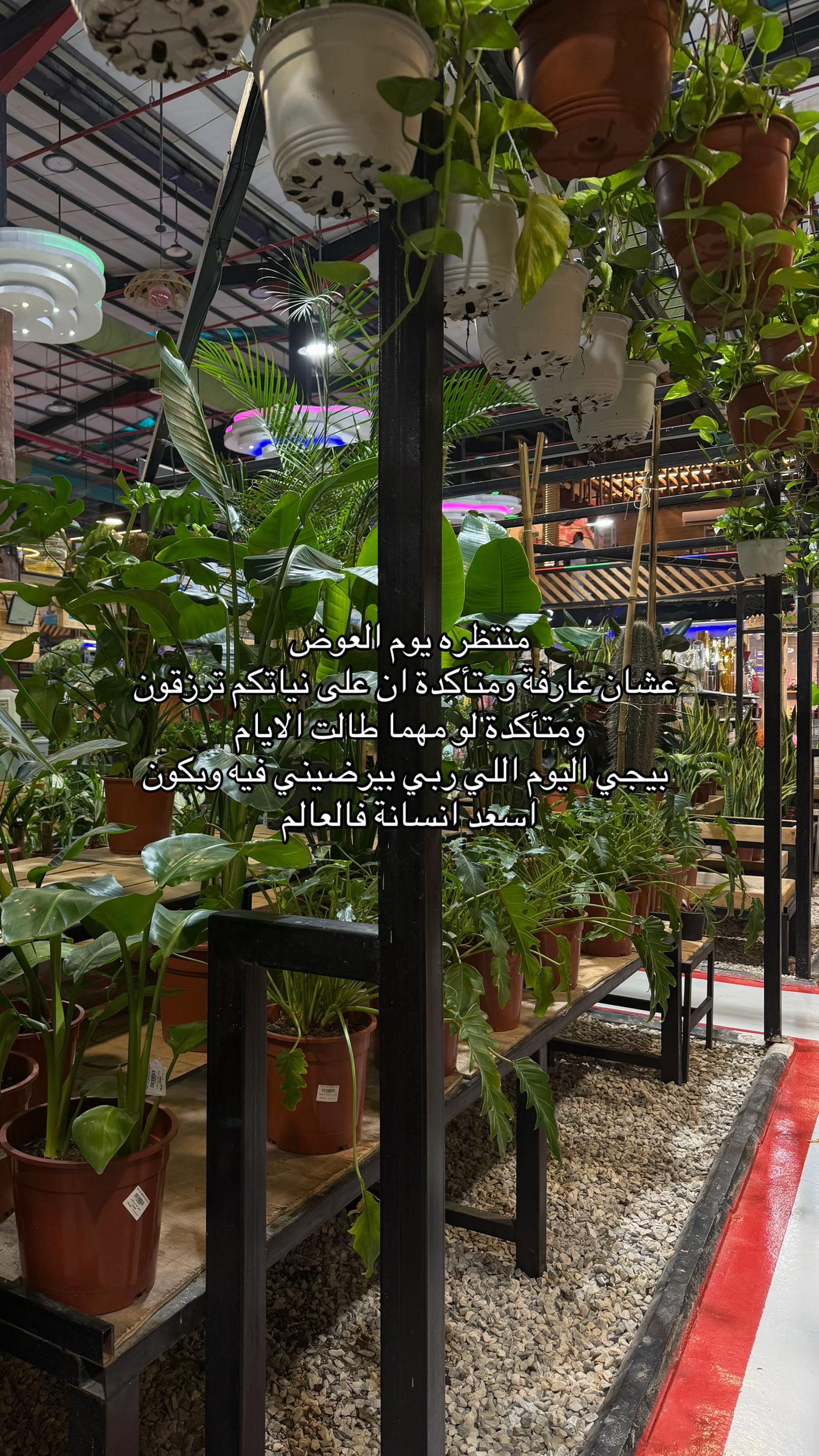 @Lolah