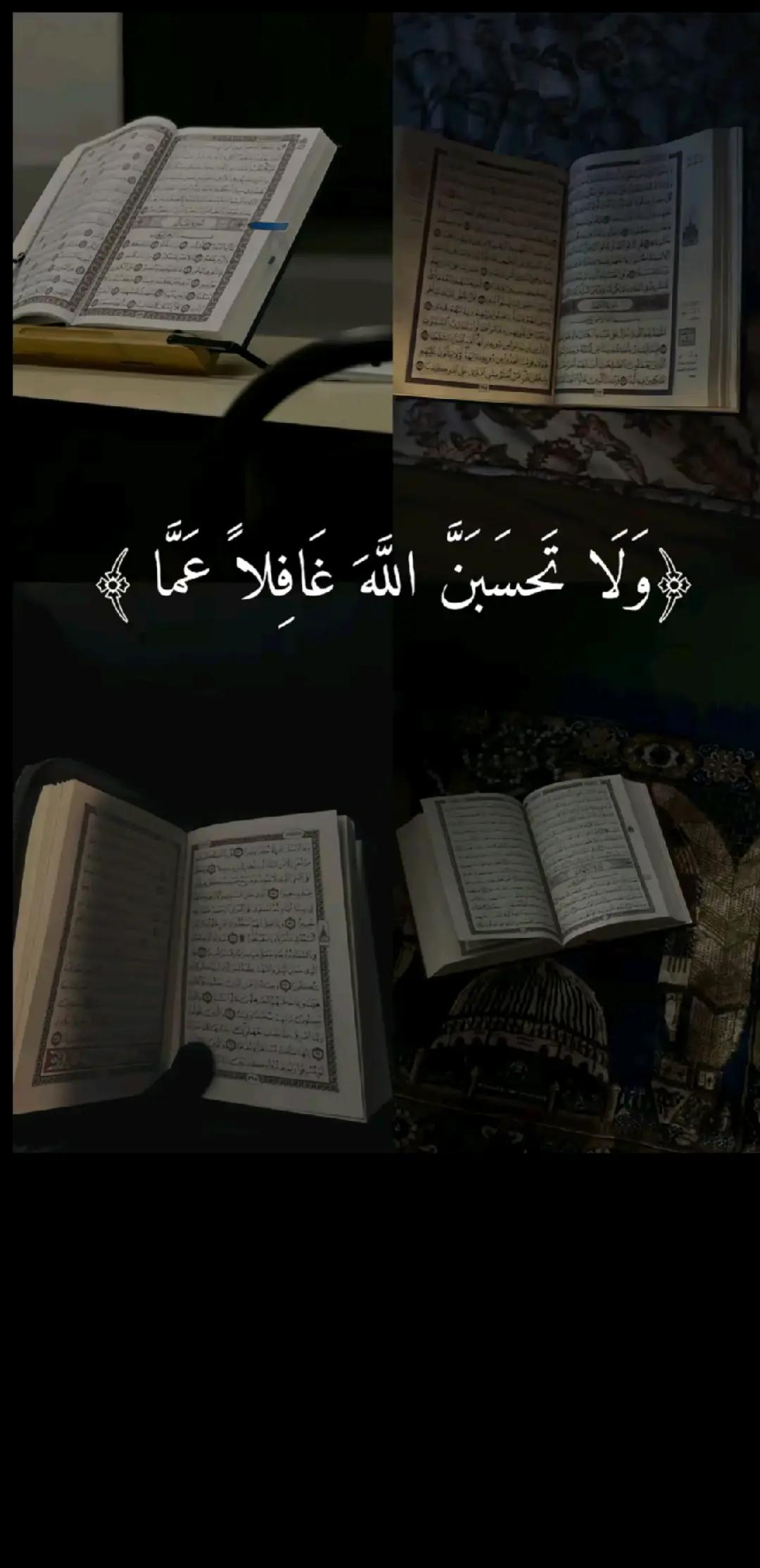 @الداعي إلى الله