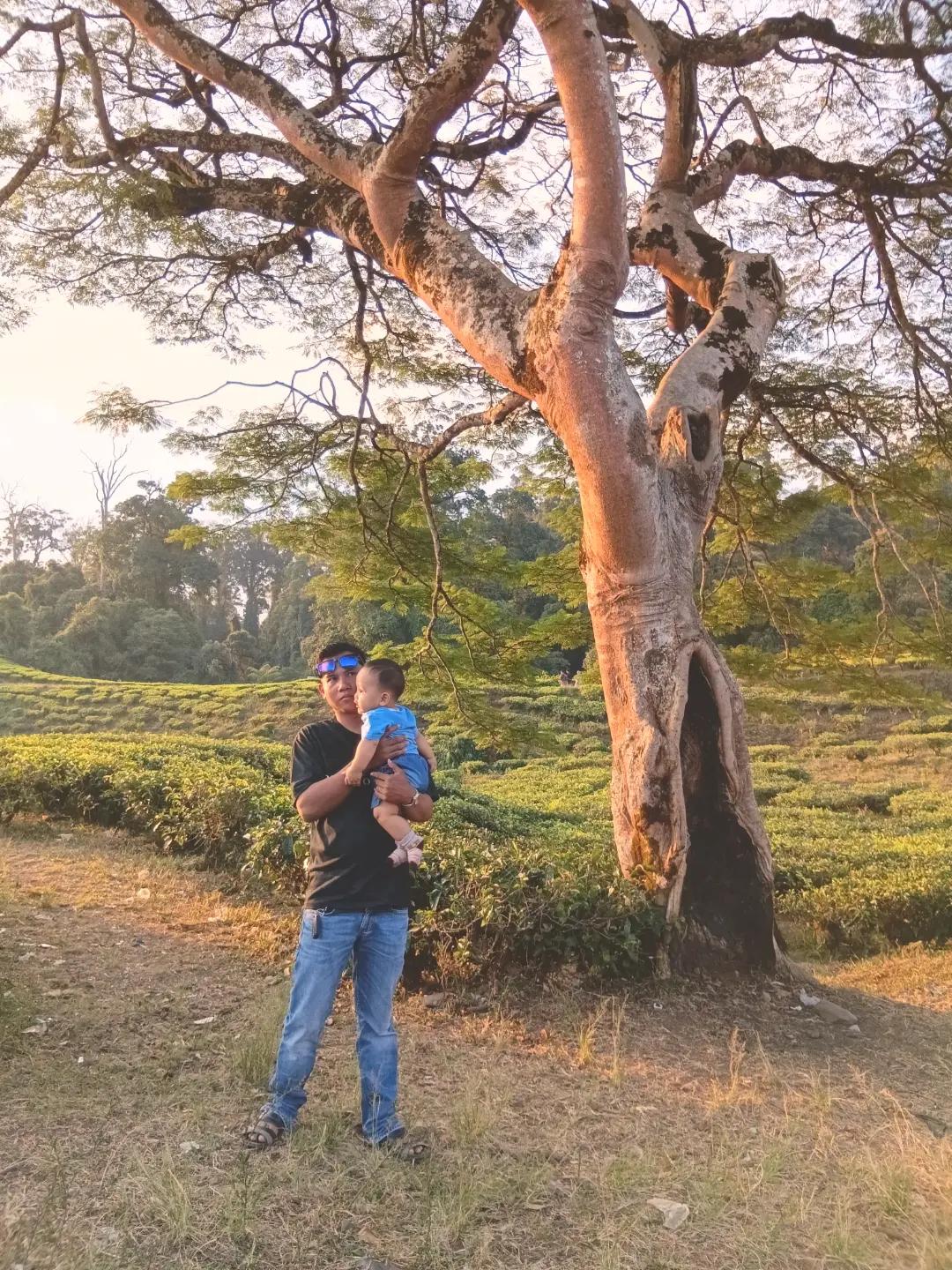 @alfalendra