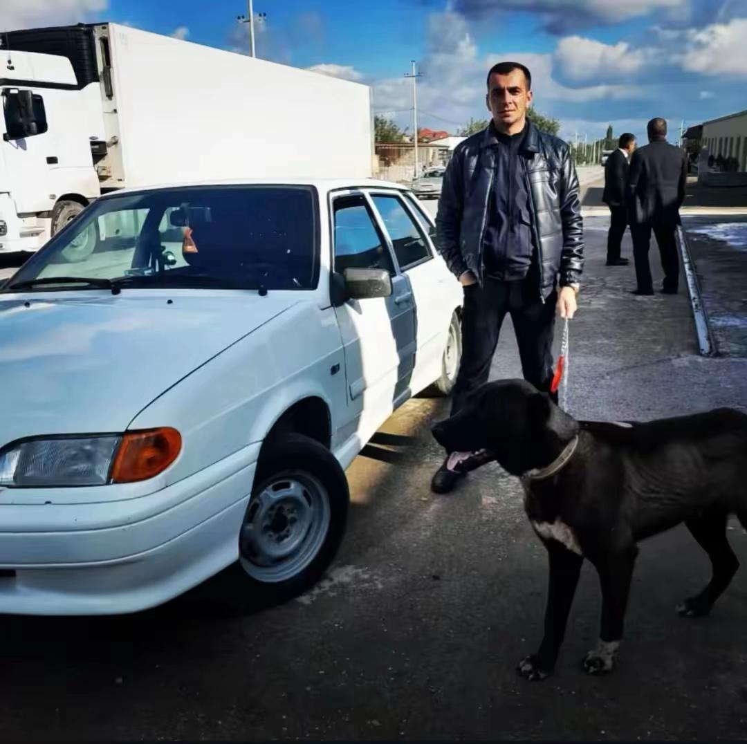 @sebuhieliyev2023