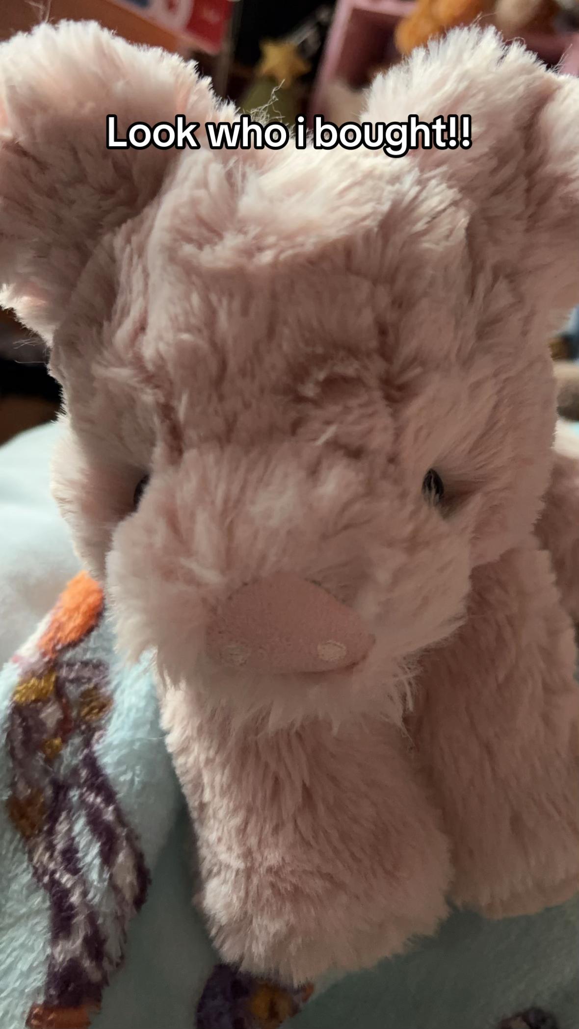 @jellycatcollectoreb