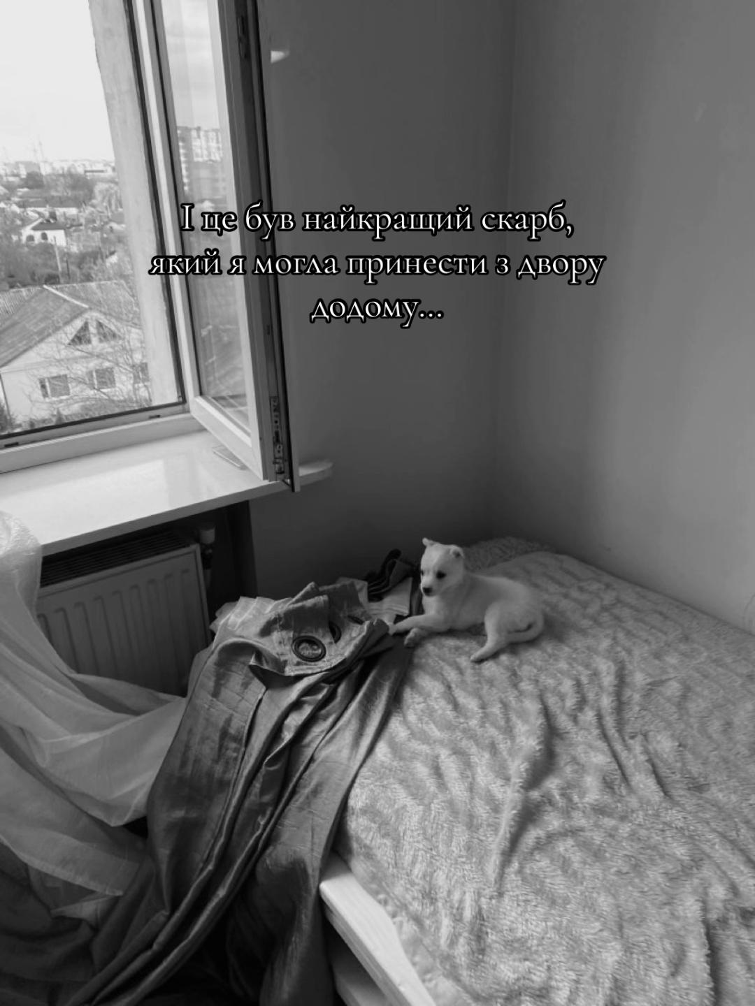 @glorikksaa
