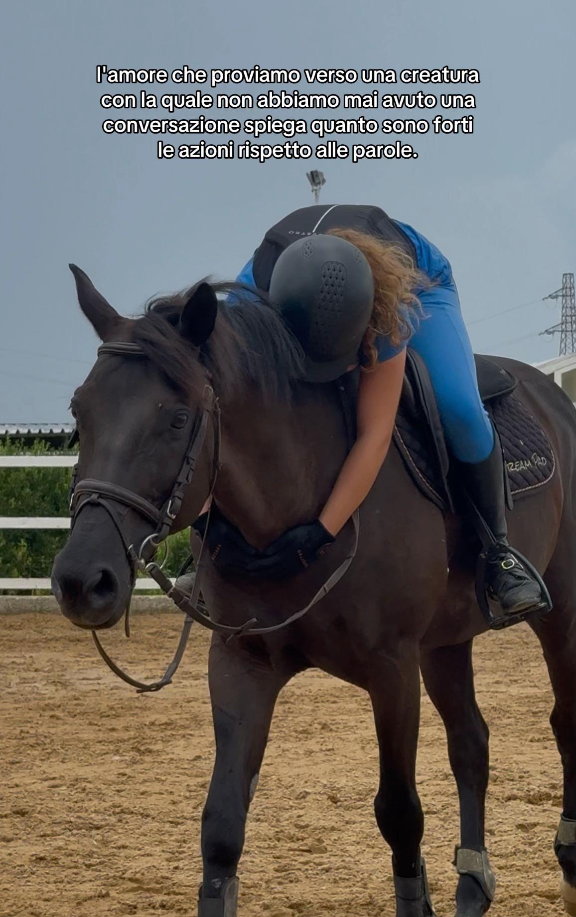 @isa_pullo🩶🐴