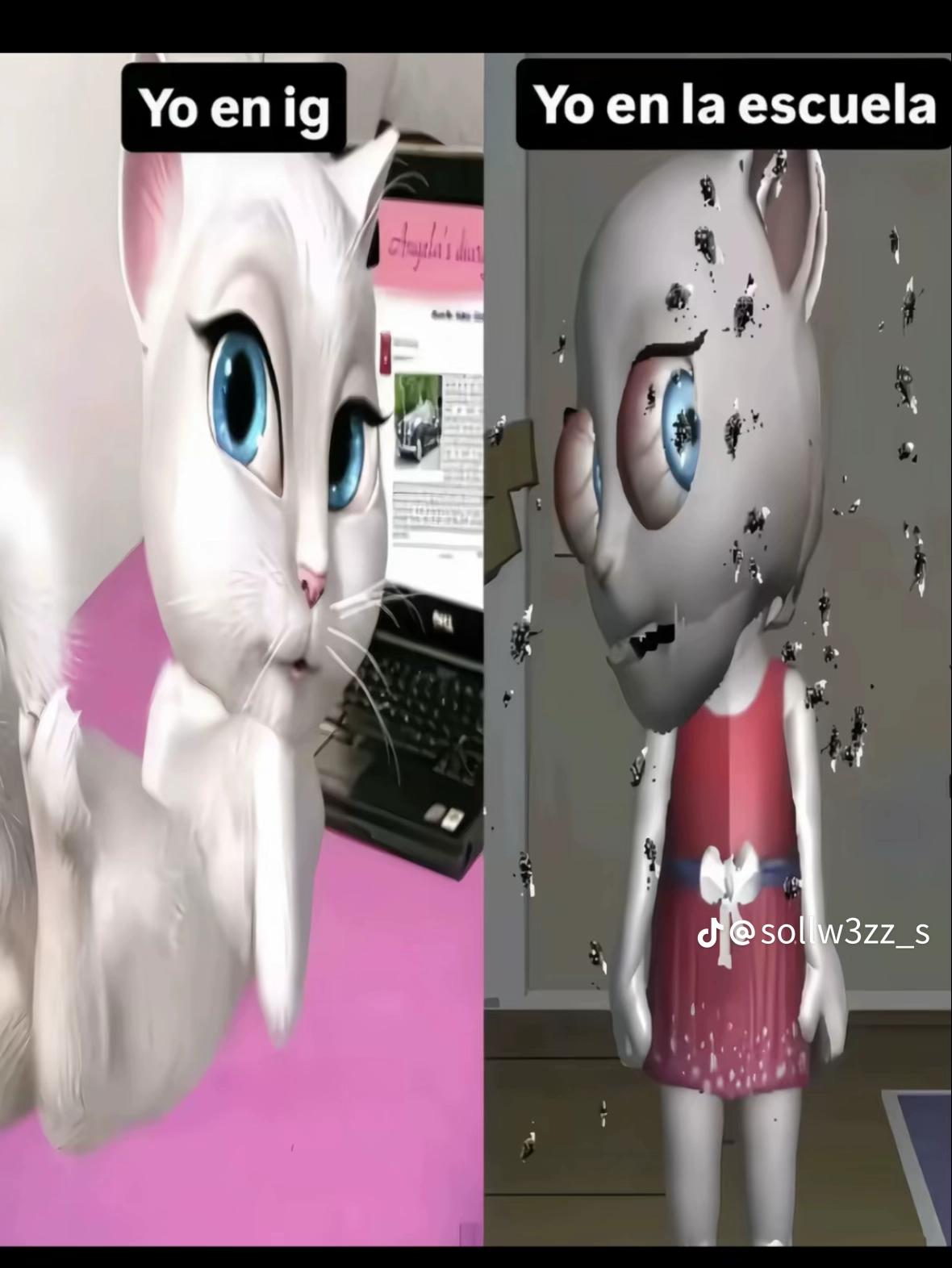 @Catact_4