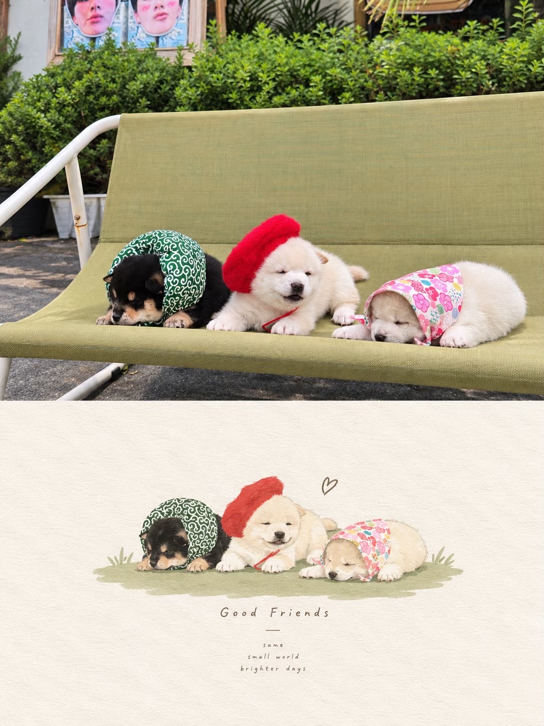 @Shibainu Story