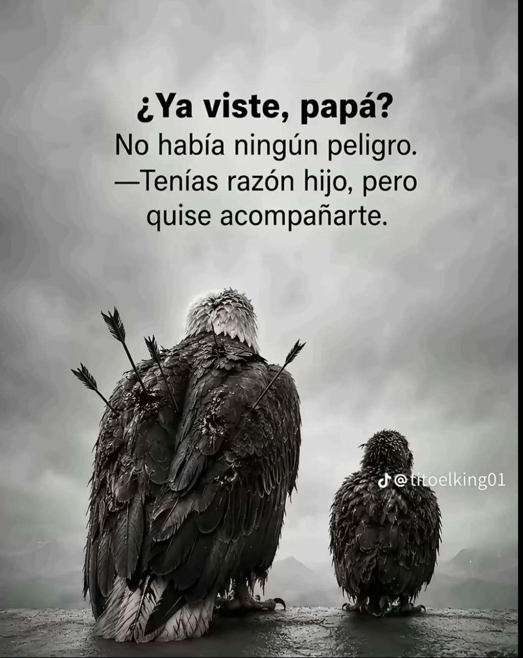 @David 🪖💙