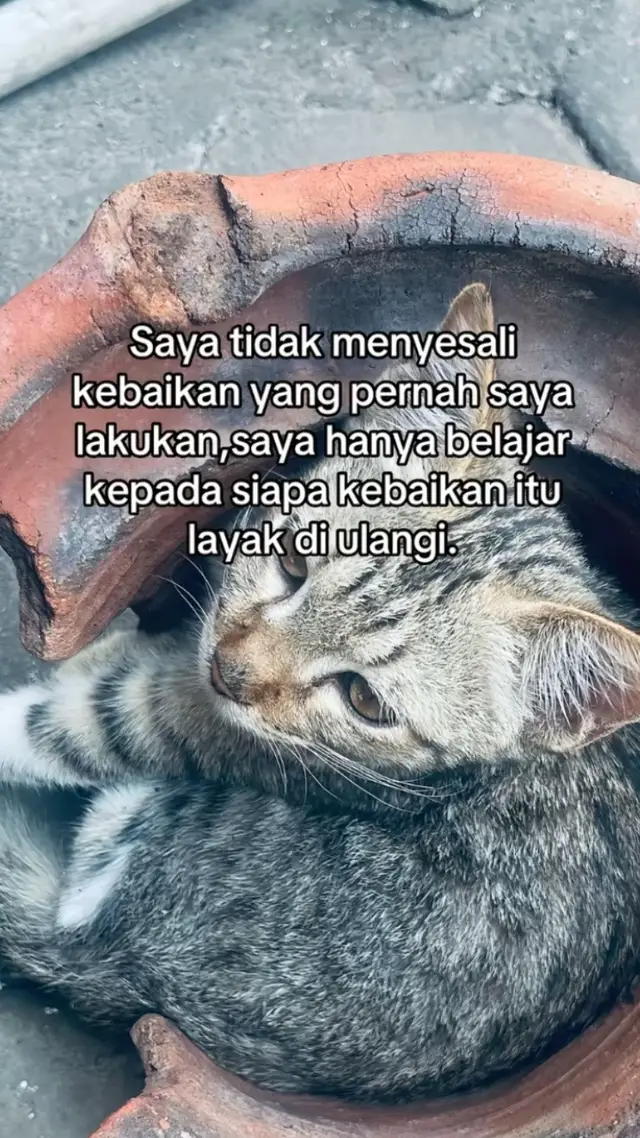 @asgrdn
