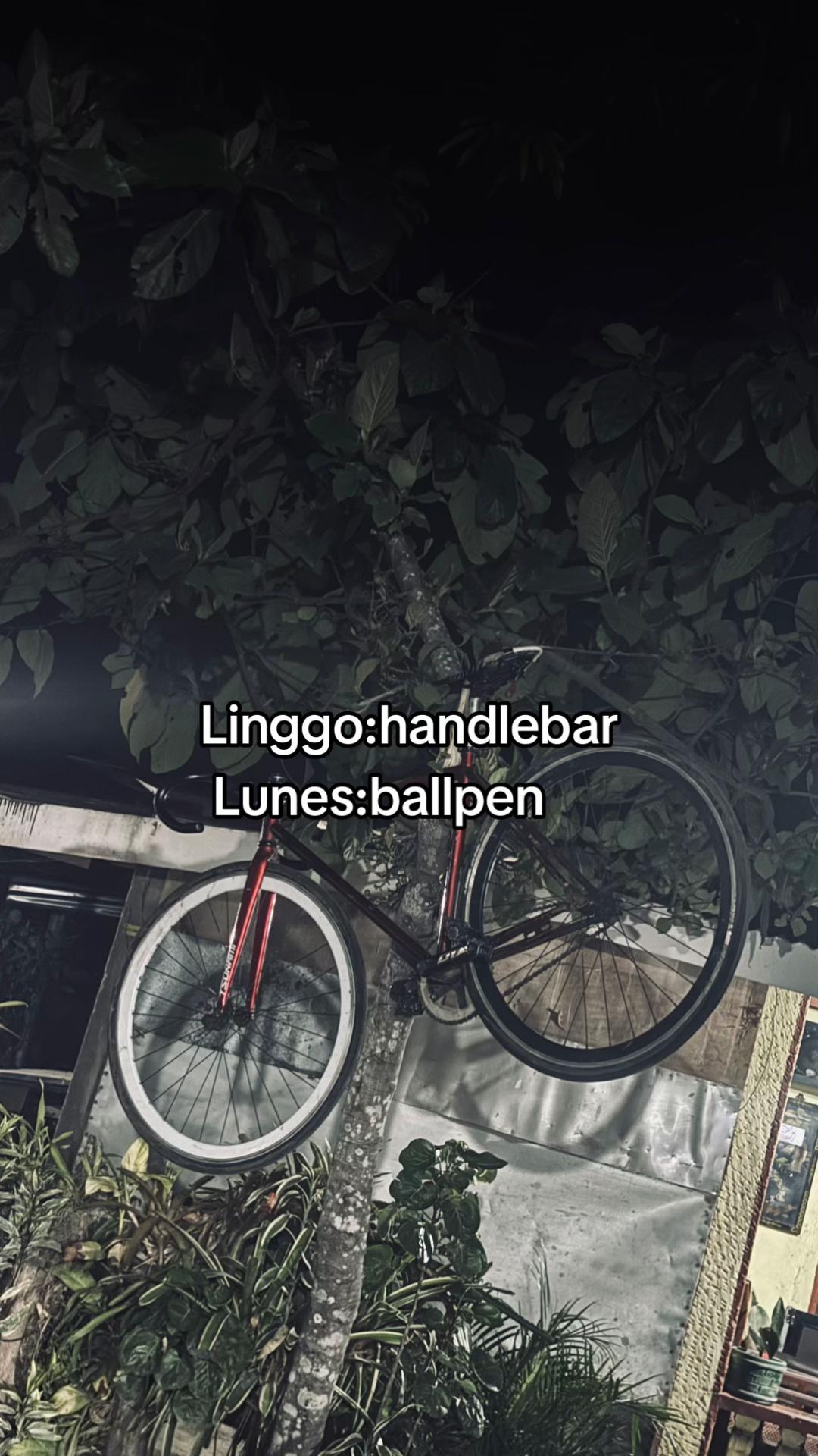 @4EØFRØMQUEZØNPRØVINCE