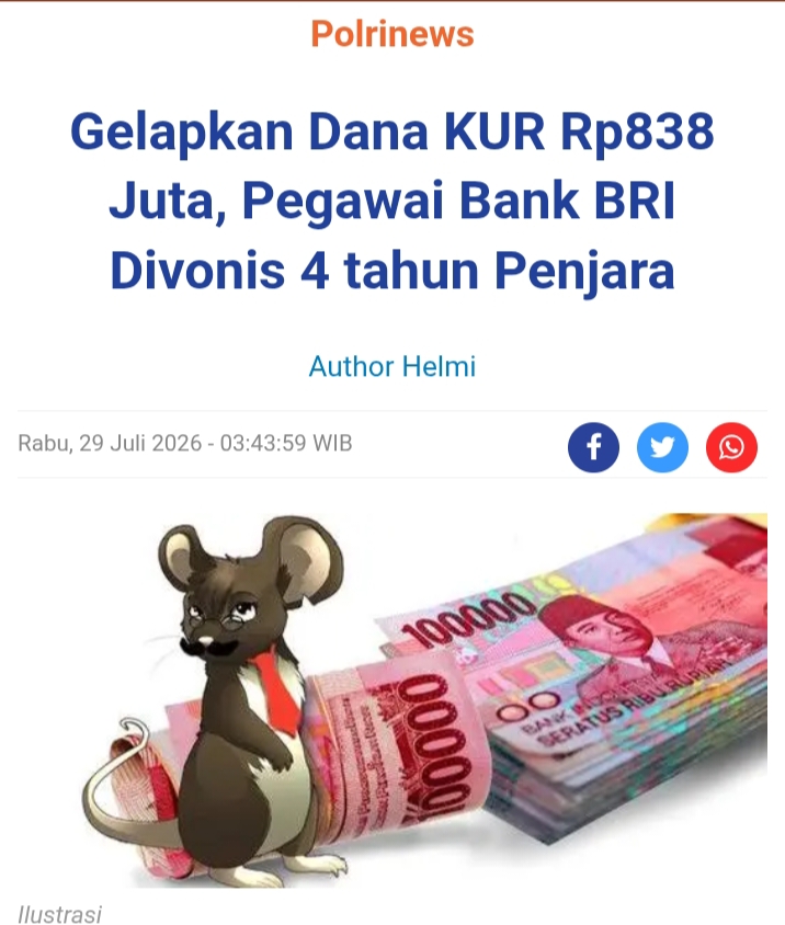 @helmi
