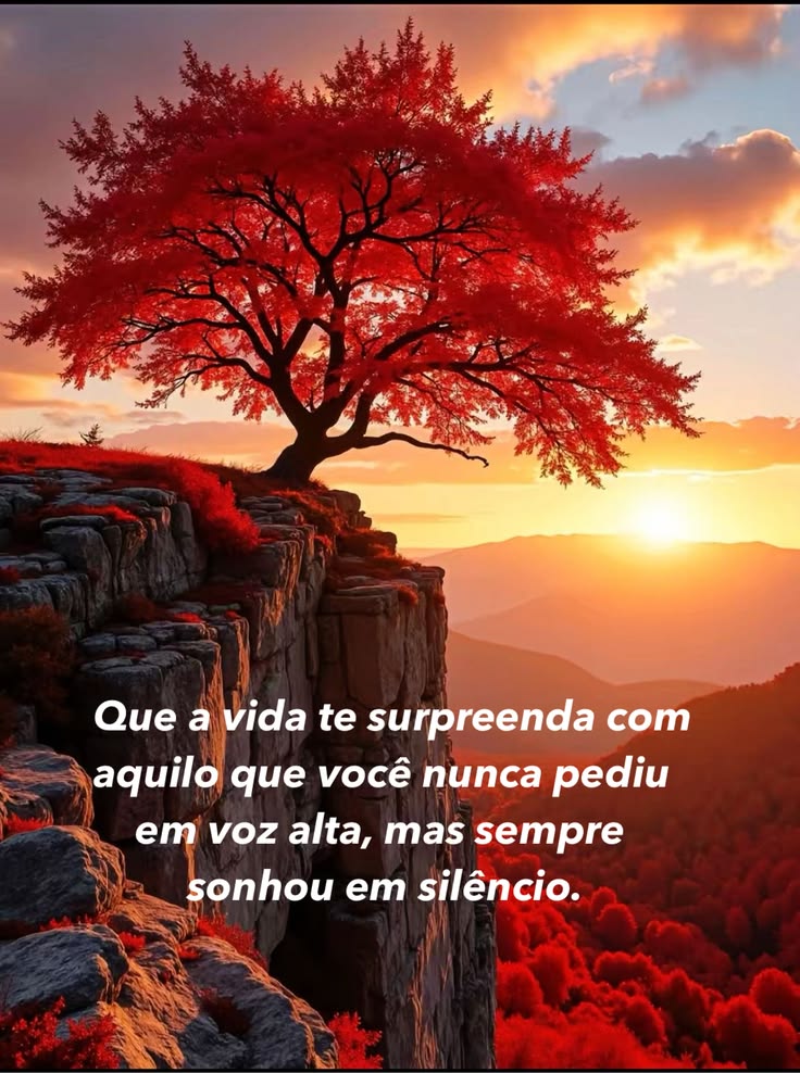 @Ocimar.