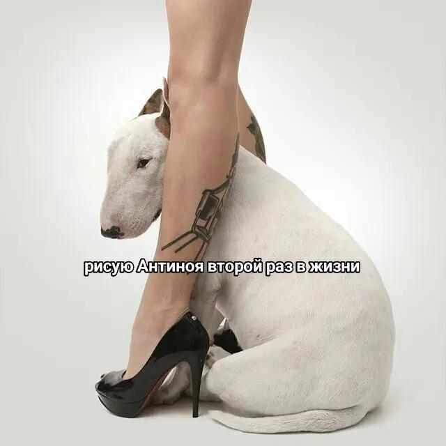 @трактор
