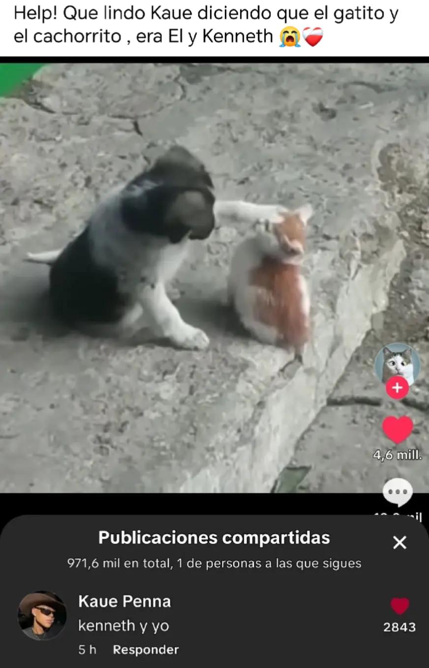 @🐰🐹