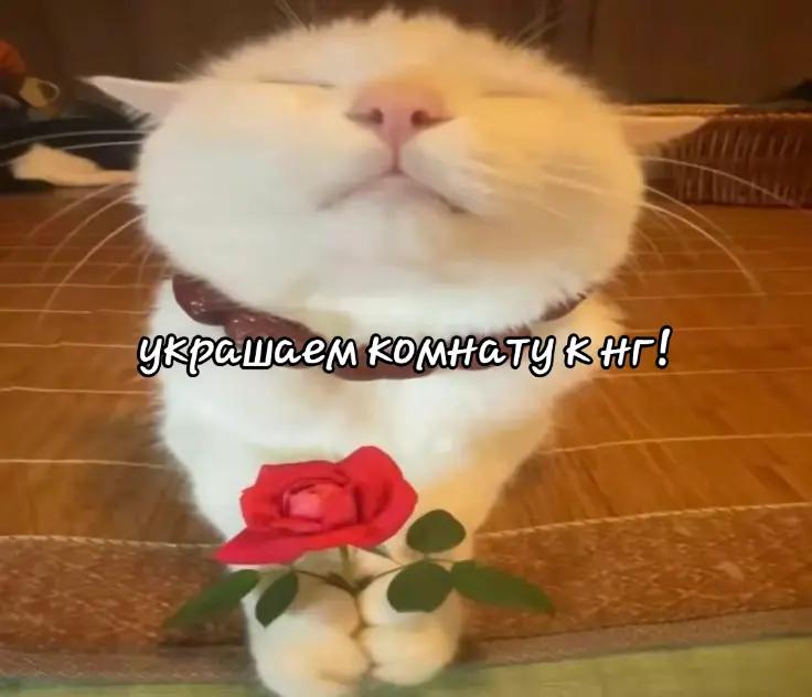 @₭Ł ዪጠ ቿ :з҉
