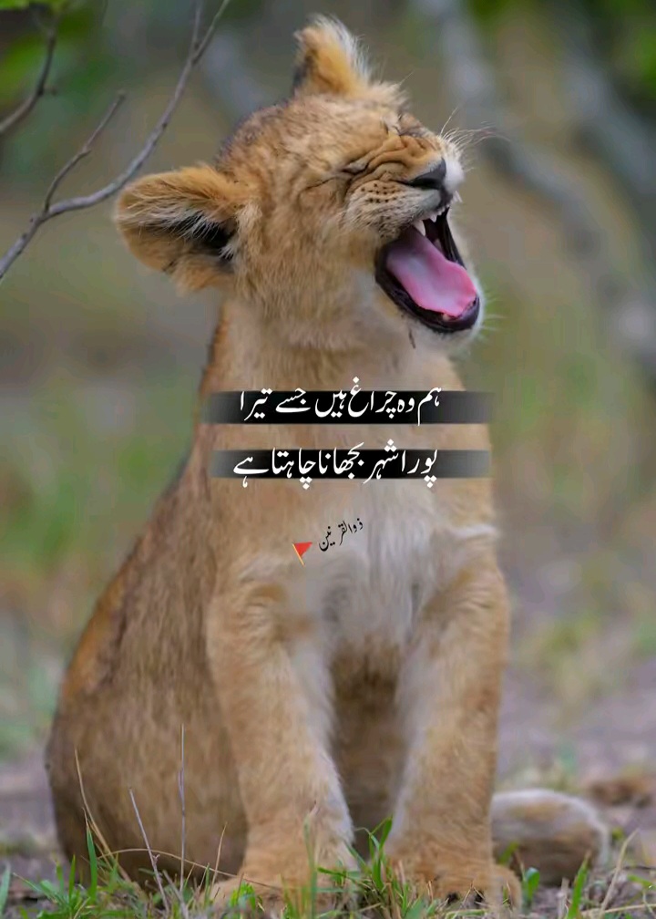 @𝒜𝓏𝒶𝓃 ℛ𝒶𝒿𝒶⚜️