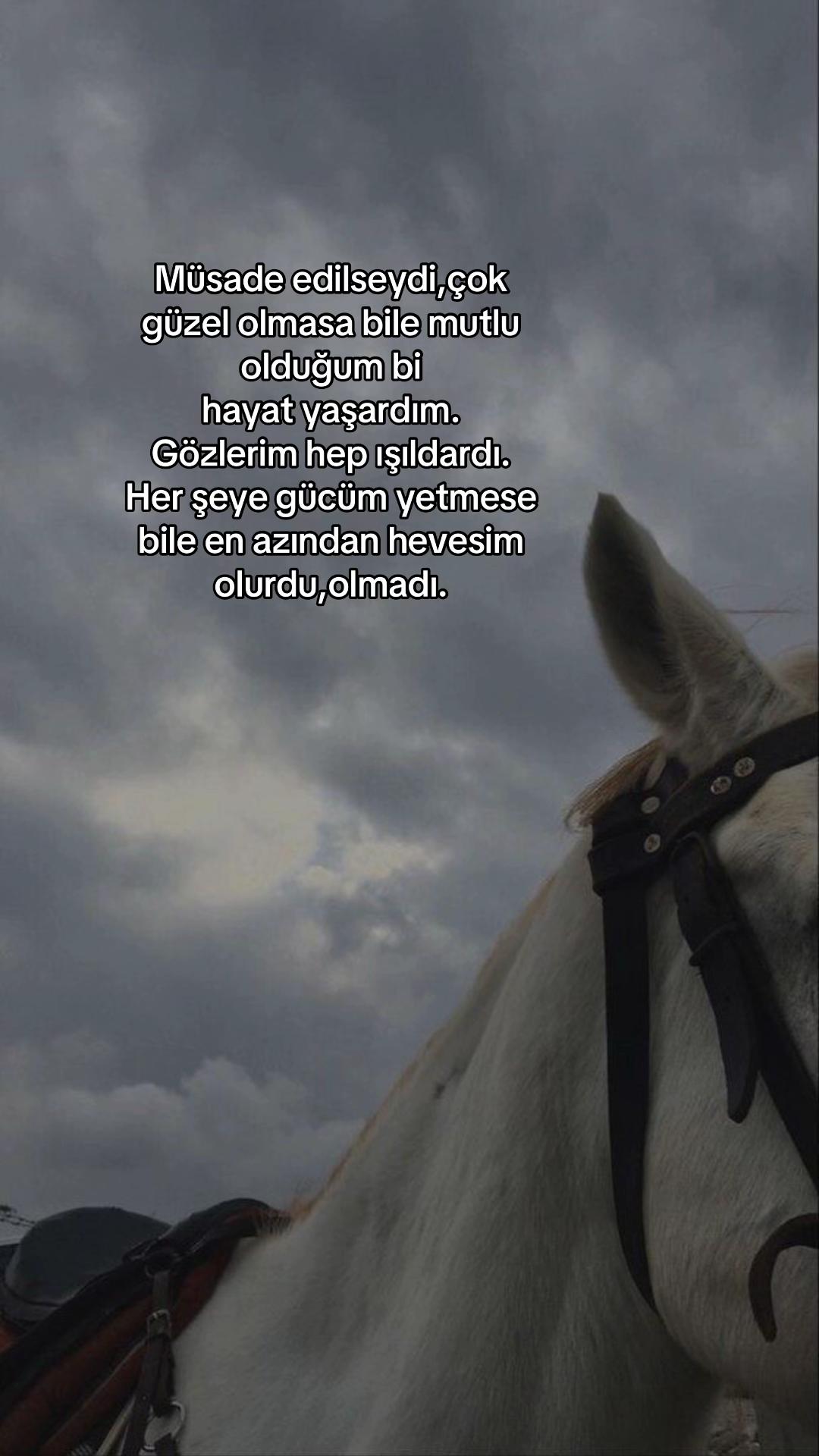 @ℰ𝓁𝓏𝑒𝓂