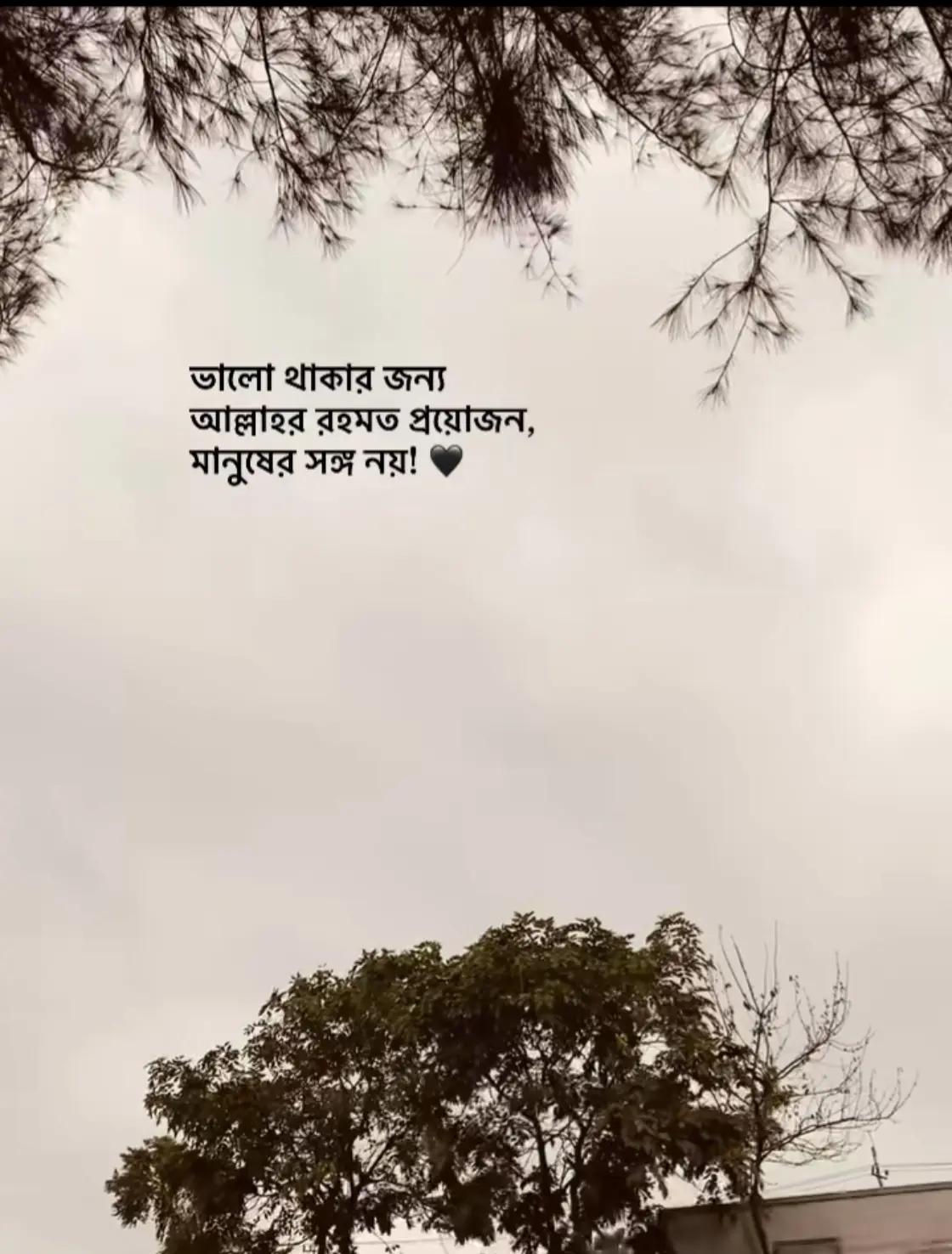 @Ahmed hasan.🕊️✨