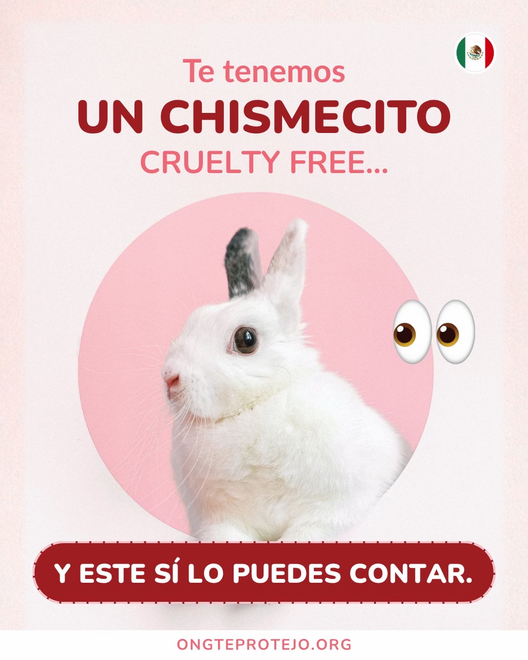 @Te Protejo