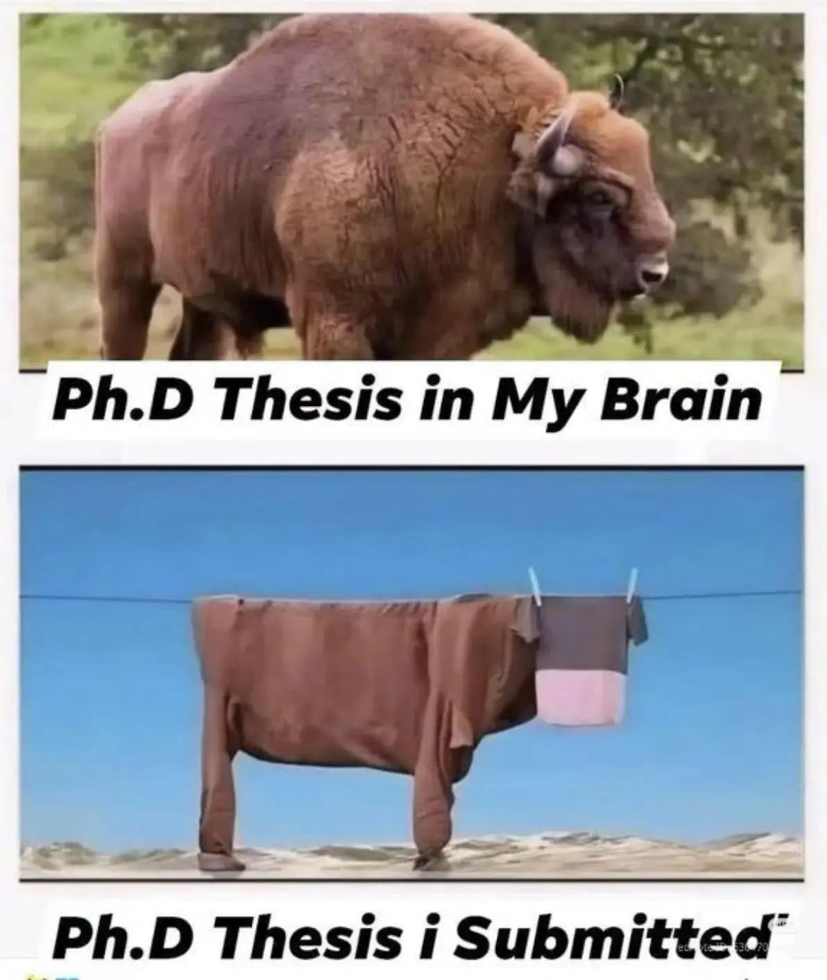 @Dr. Charles M.