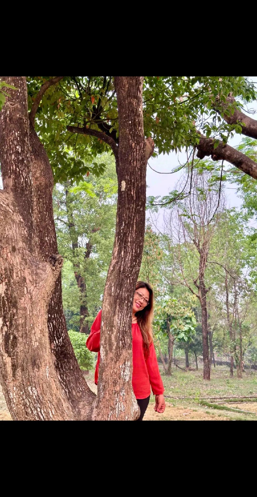 @Dilu Thapa Magar