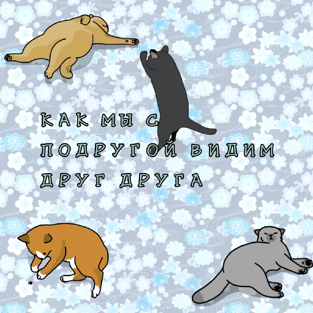@абнимаца🫐