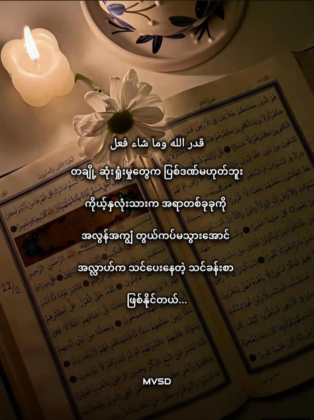 @💫 Zar Chi💫