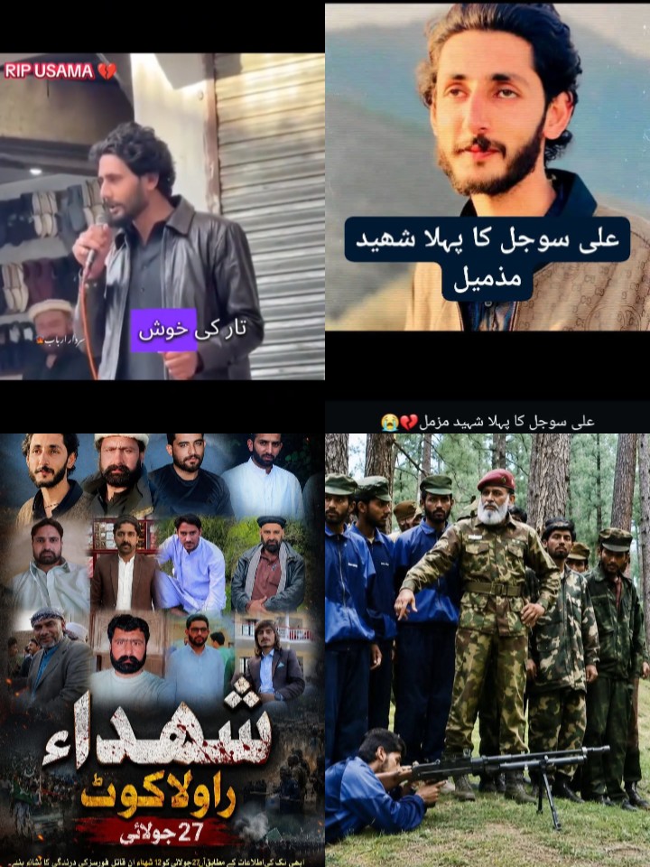 @Sardar Hassan