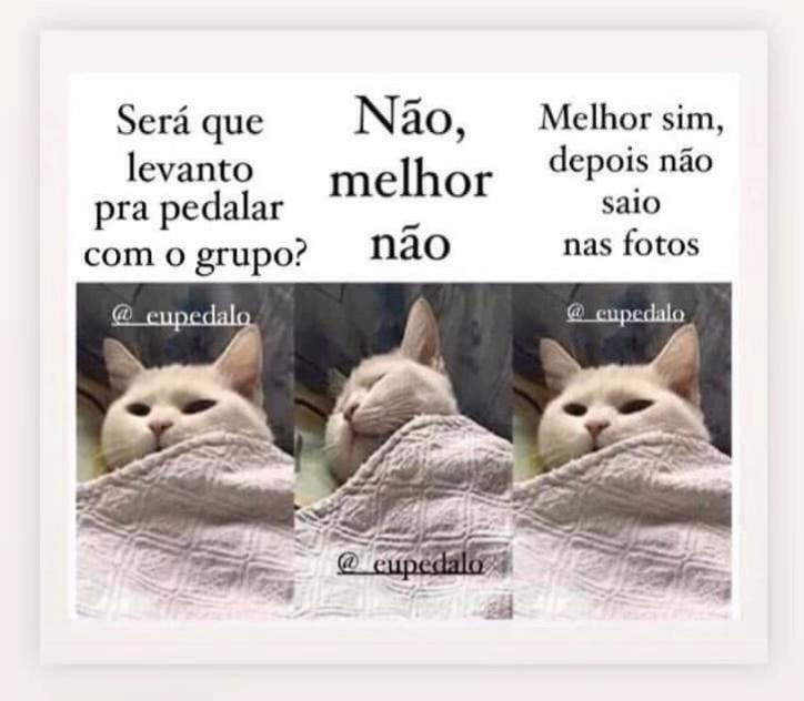 @_eupedalo