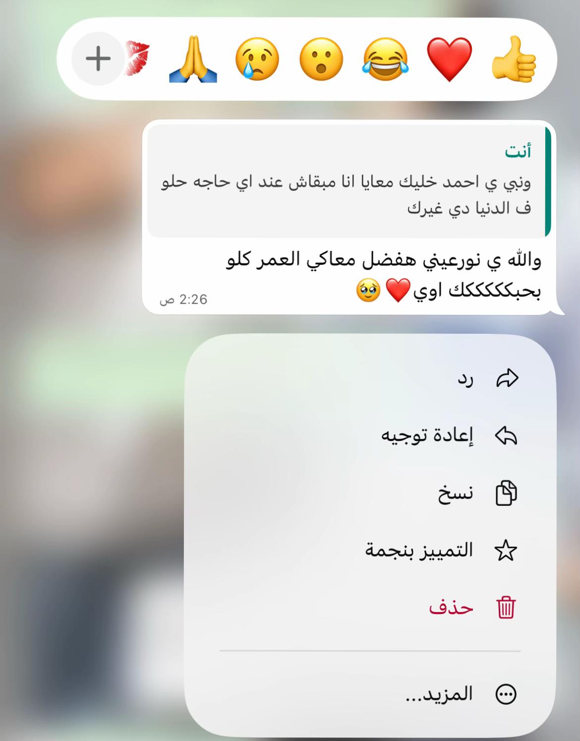 @mennaahmed2464