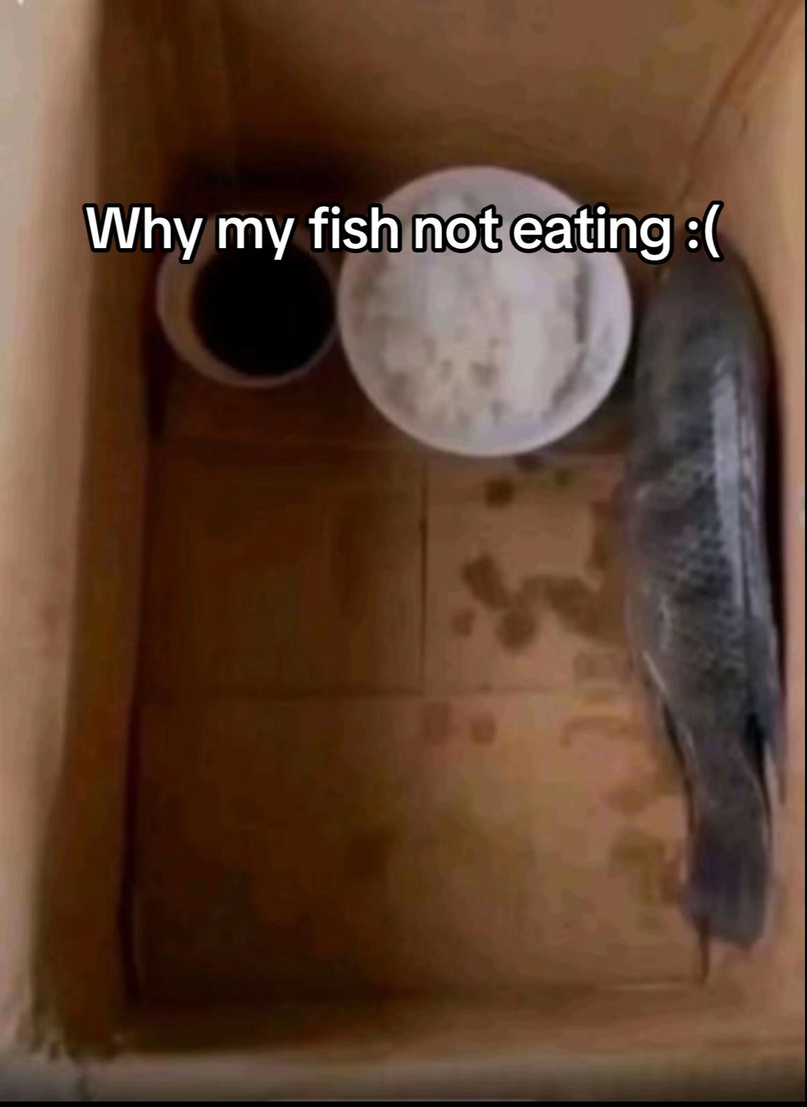 @No