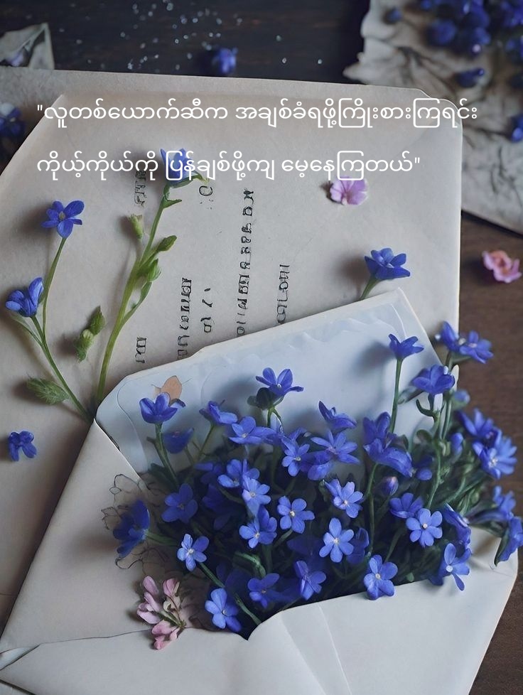 @T_N_P