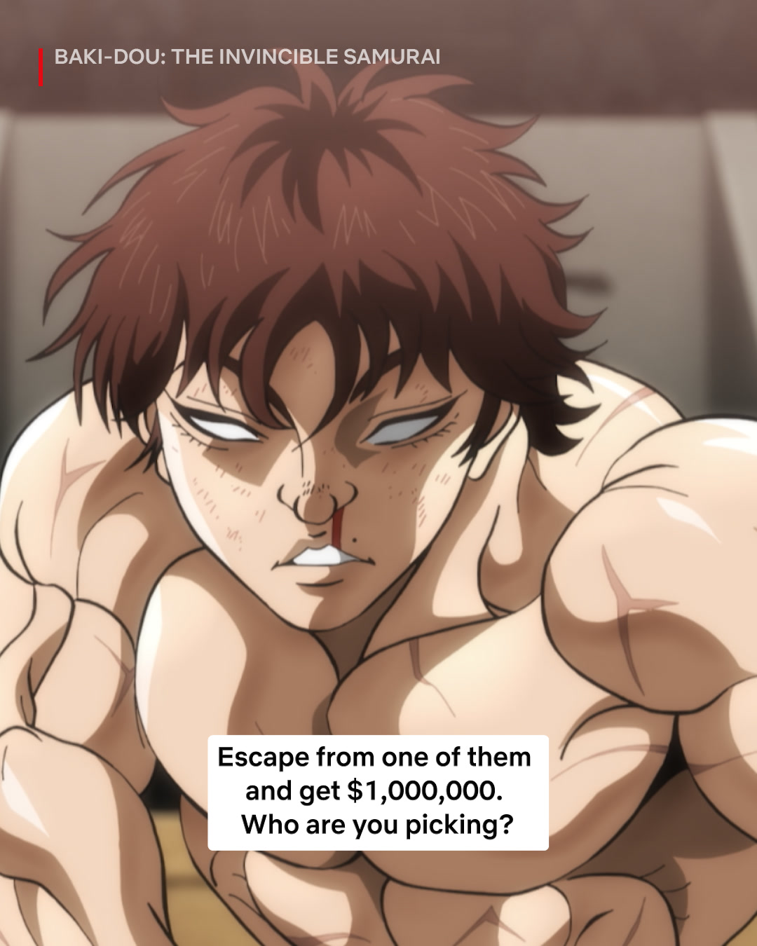 @netflixanime