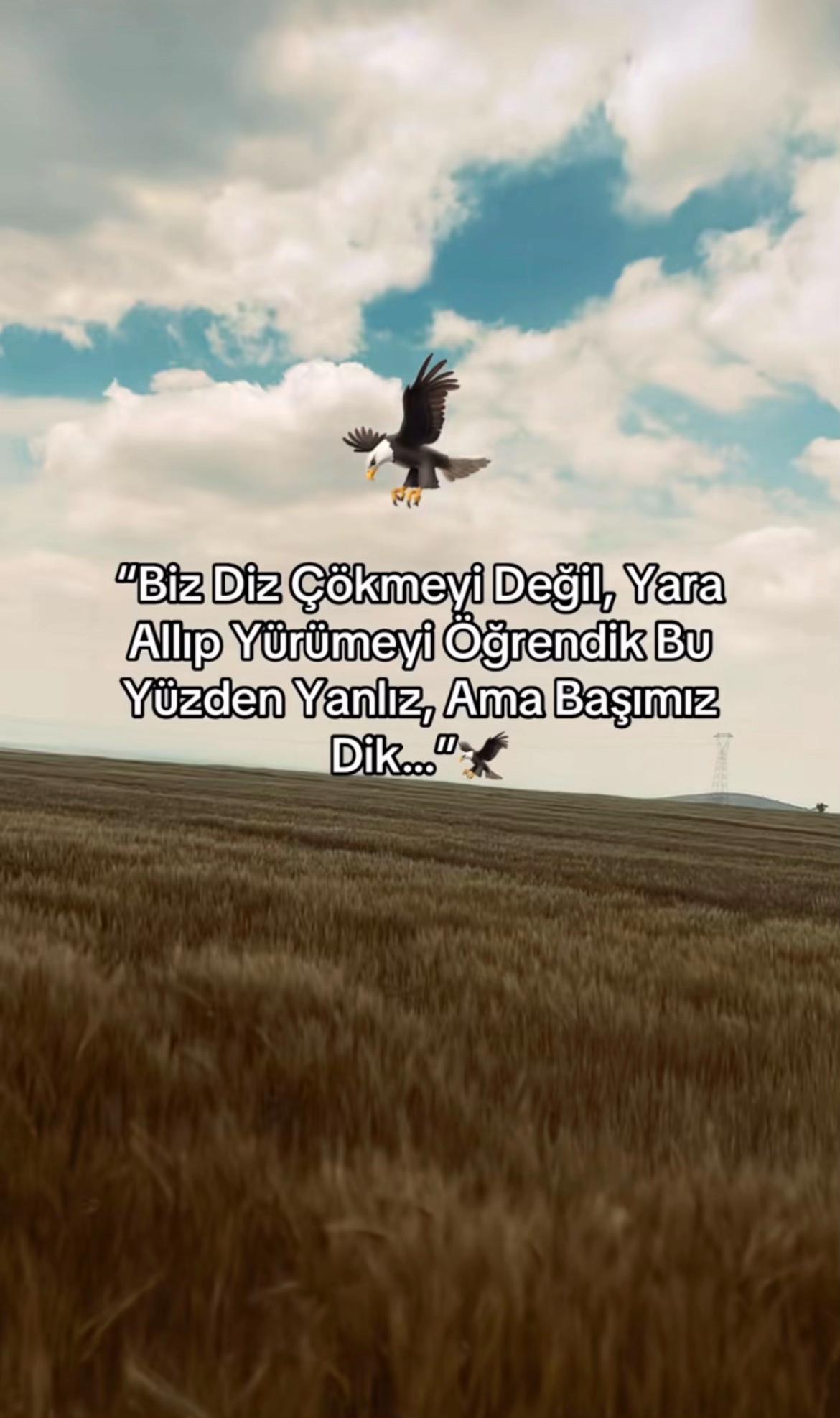 @👑 SerKan Yıldırım 👑