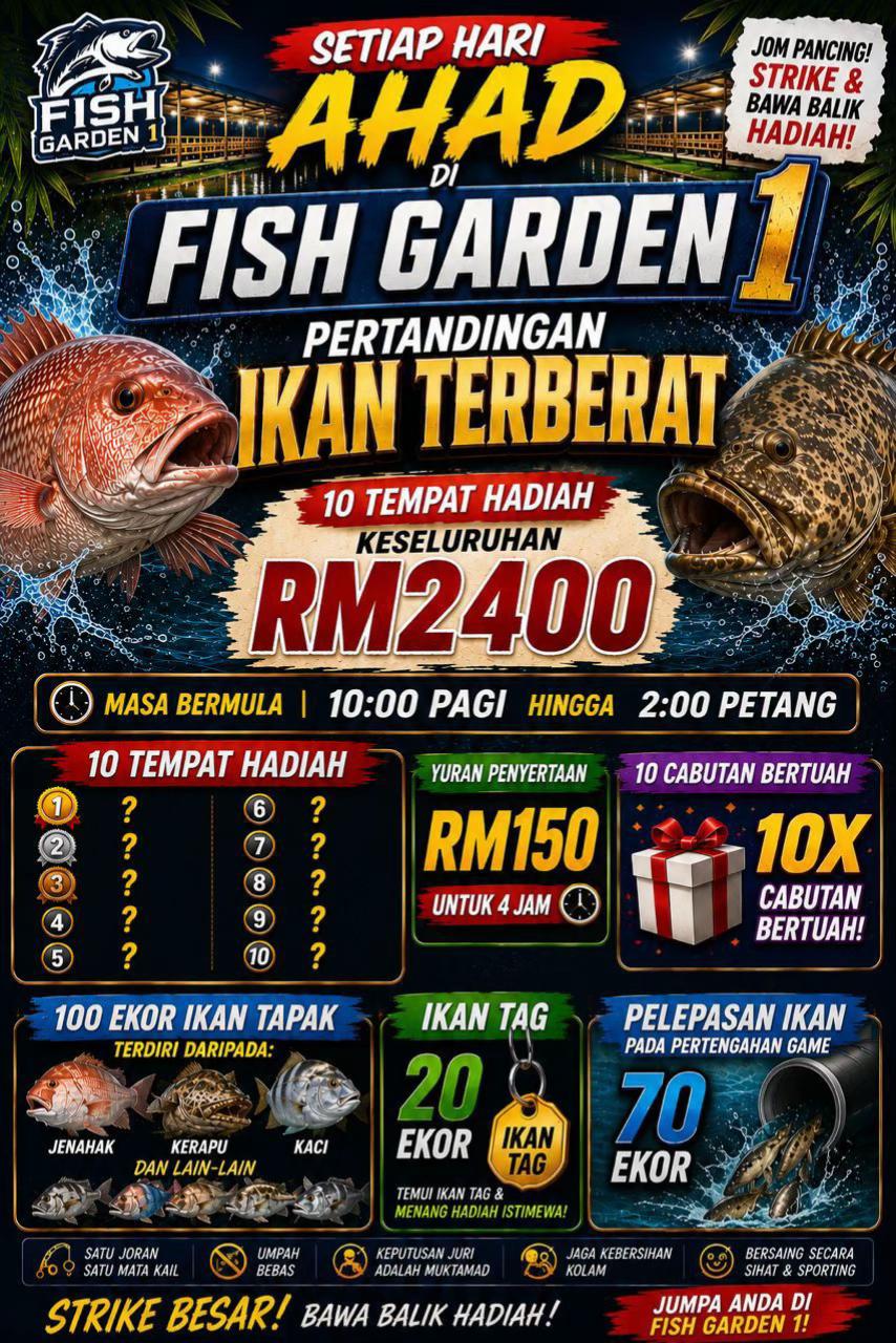 @M Z Reel 🎣