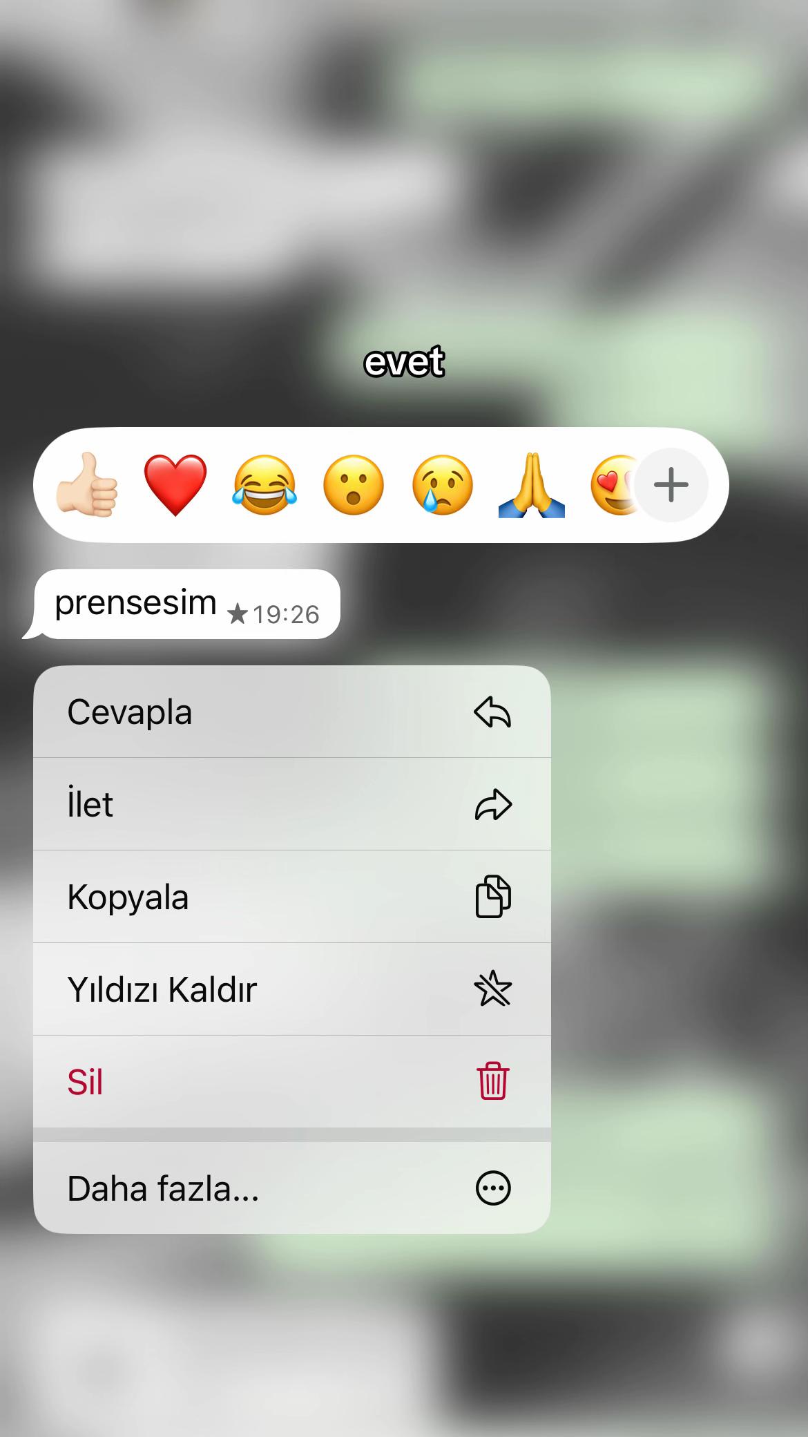 @Sıla Türkdoğan