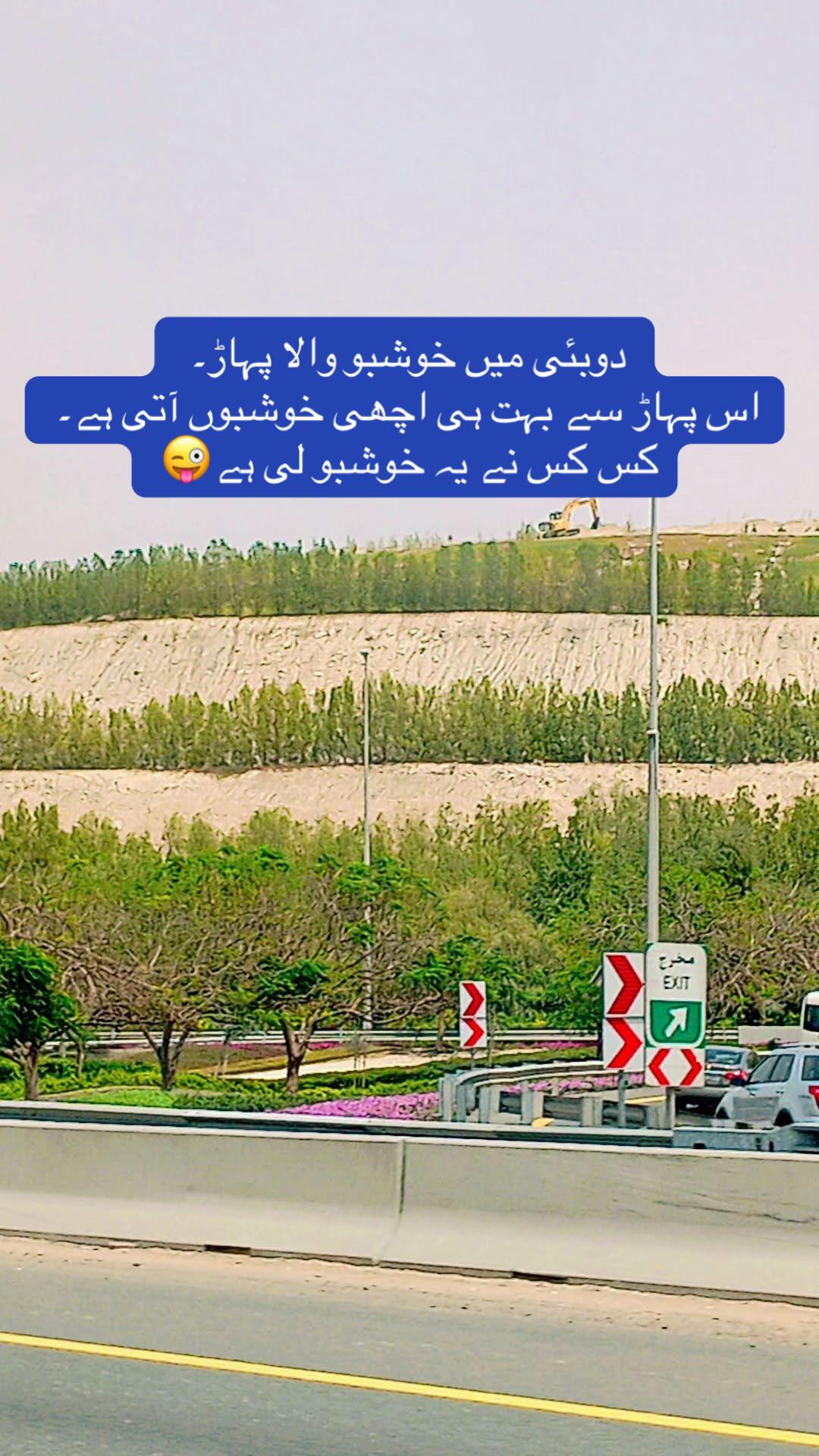@junaid gillani
